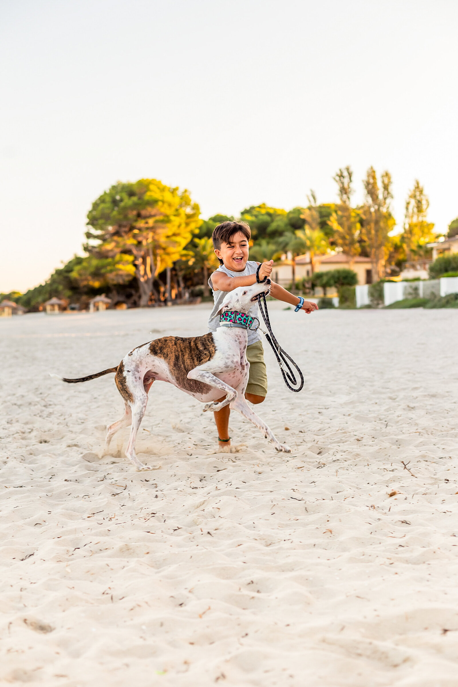 Family photo shoot Mallorca T -15