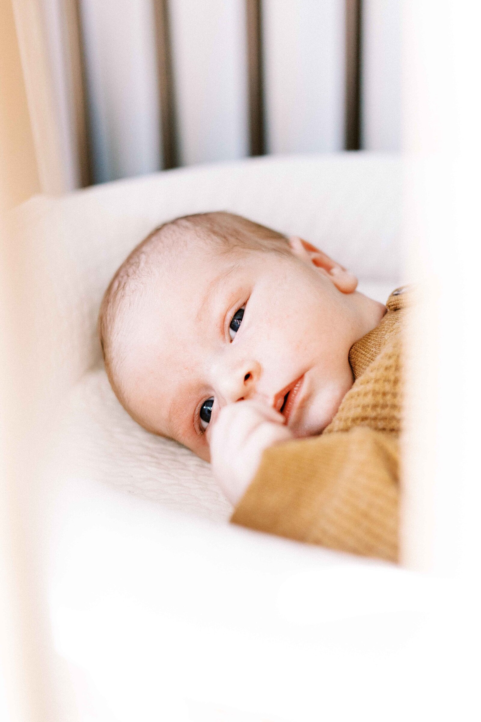 baby through crib in peoria illinois newborn photos 