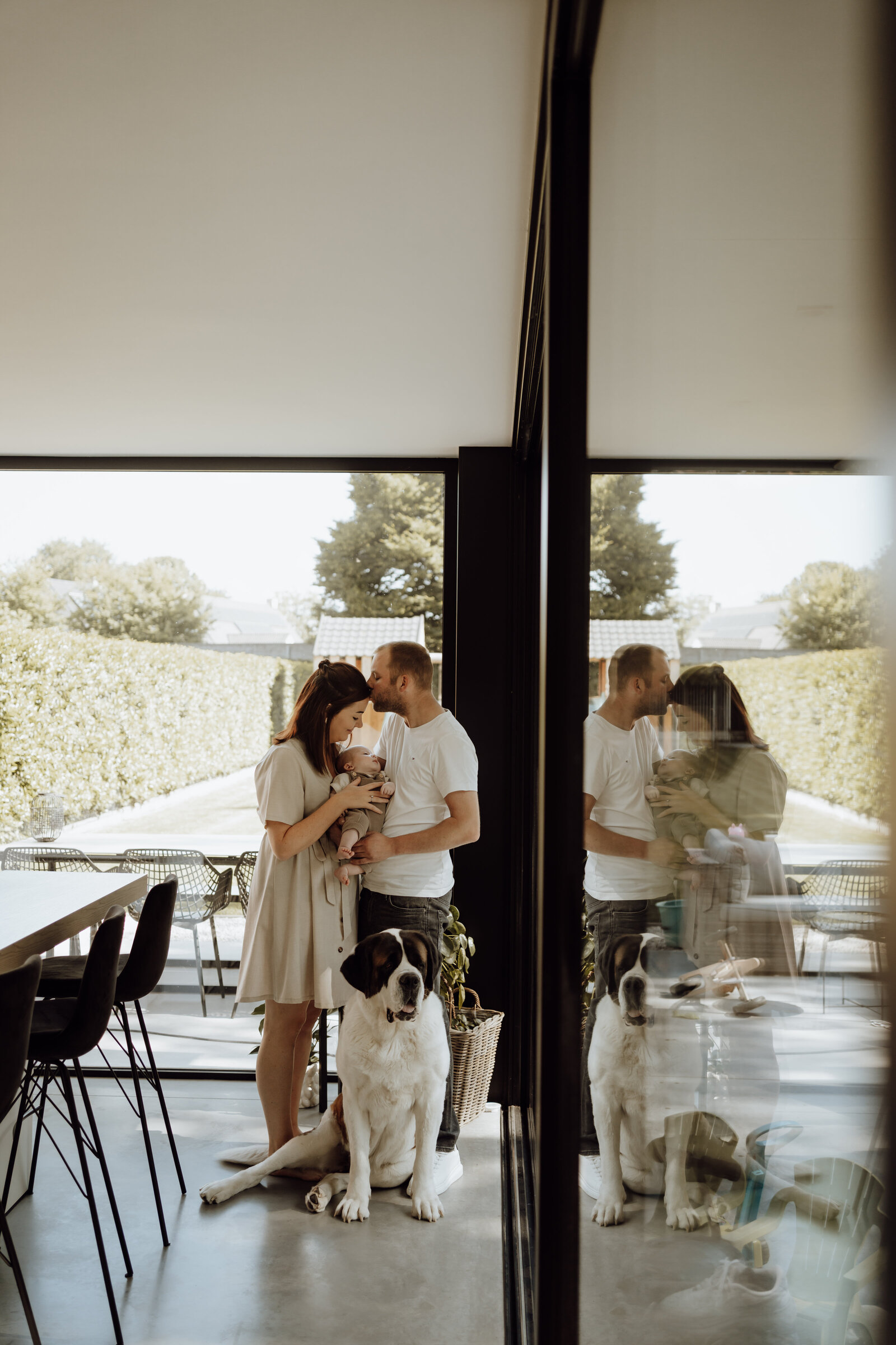 newbornfotoshoot aan huis, fotoshoot met hond, limburg