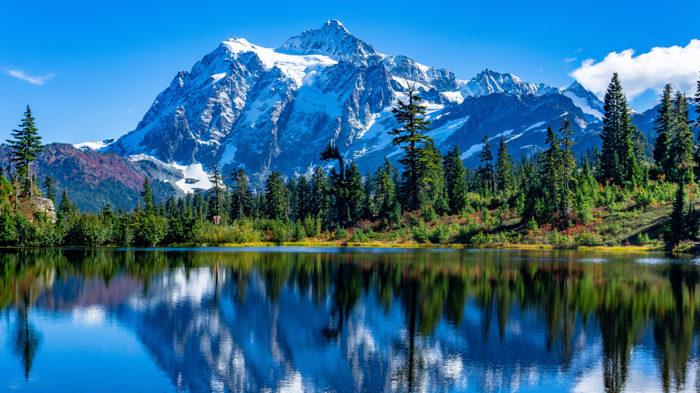 The Great Outdoors Collection 1