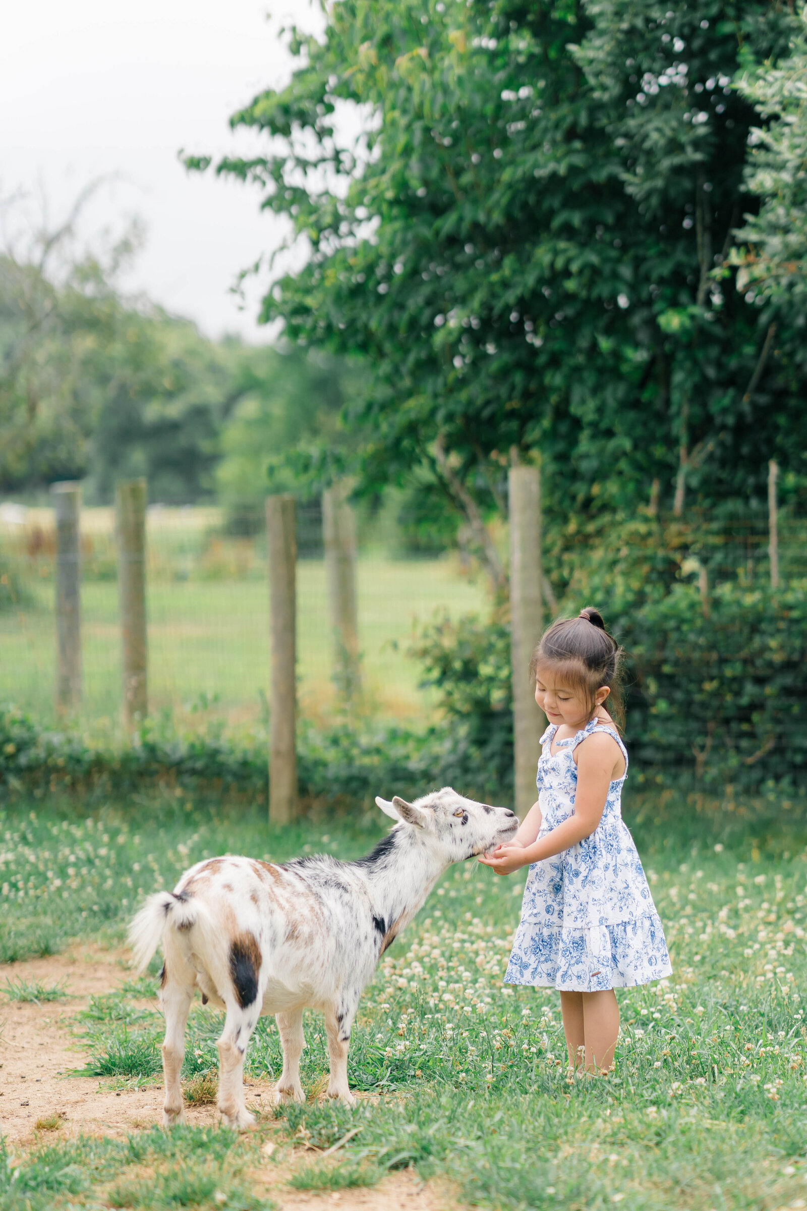 AllThingsJoyPhotography_LongIsland_Portraits-34