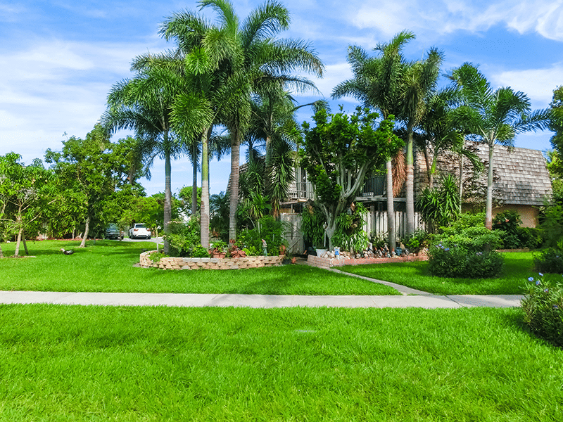 Healthy-Grass-and-Lawn-Care-New-Smyrna-Edgewater-Oak-Hill