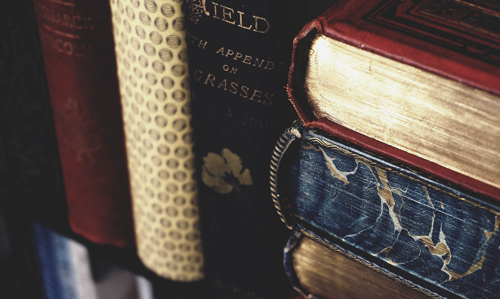 archetype-atelier-showit-template-shop-litterary-design_6