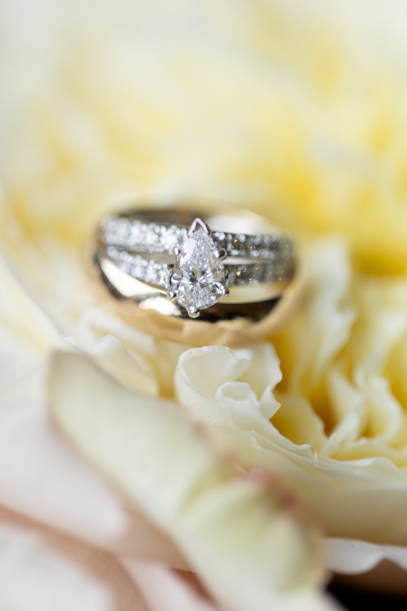 Maiolatesi Wine Cellars Wedding0005