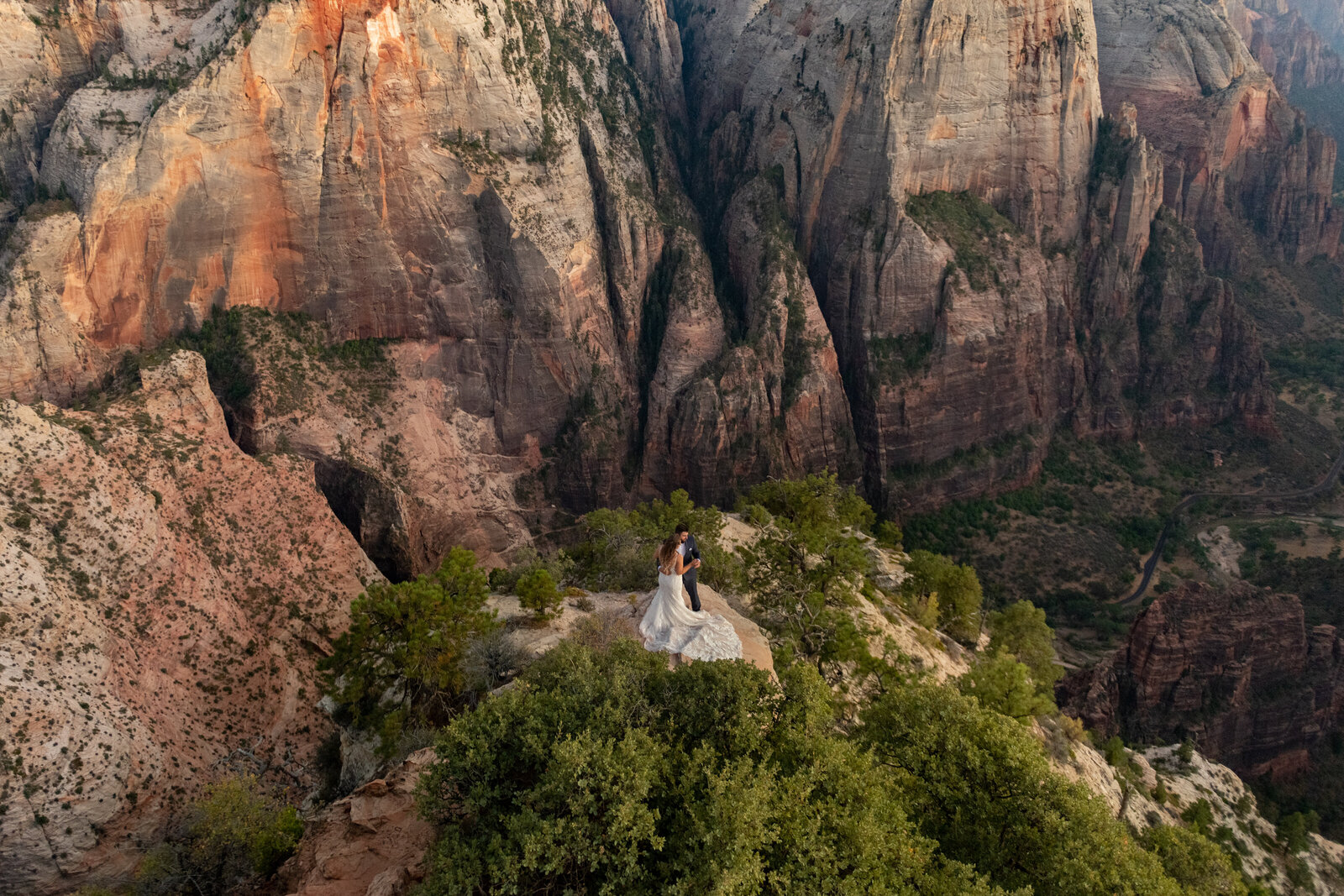 wildelopementzionweddingobservationpointzionnationalparkphotography