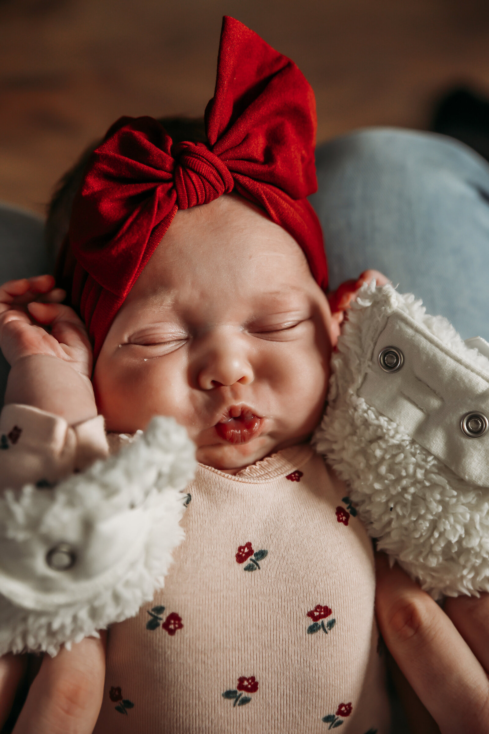 Newborn Photographer. Dansville NY