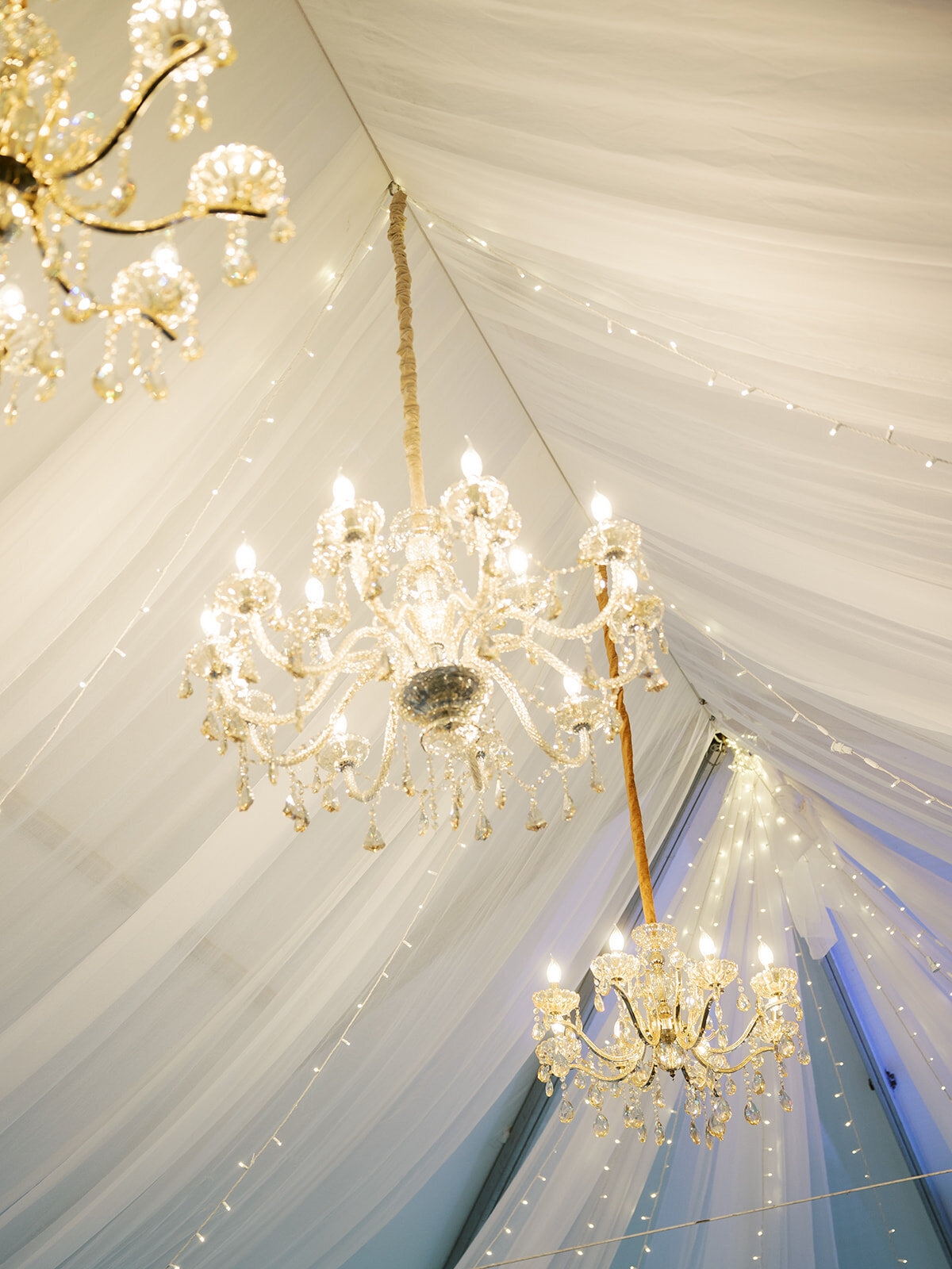 Lighting at Eolia Mansion & Harkness Park