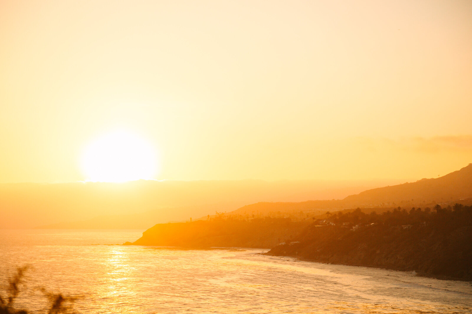 Los Angeles Beach Wedding