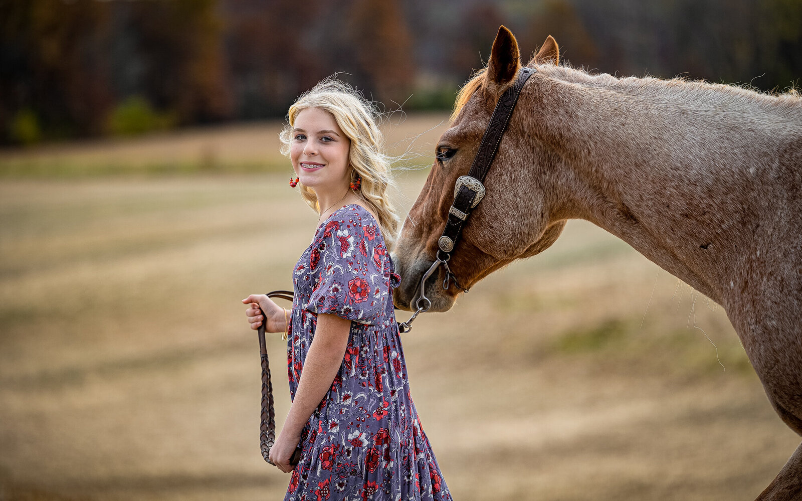 Horse and Girl