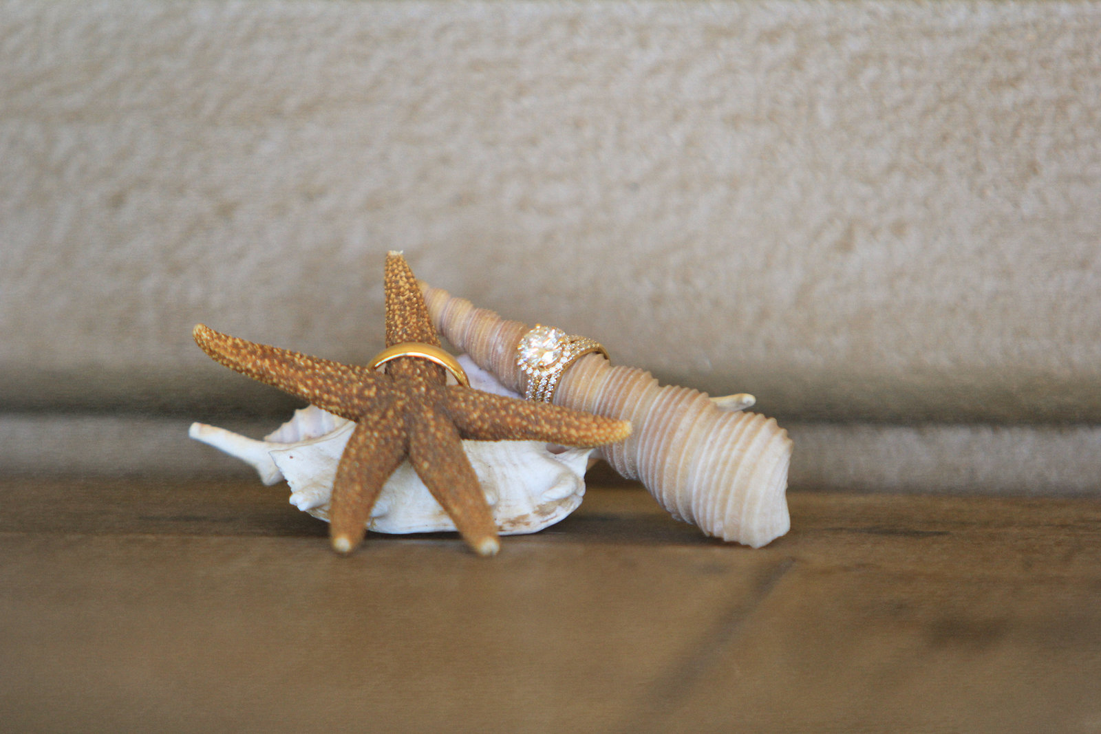 IMG_0633Maui Shells Rings 2015