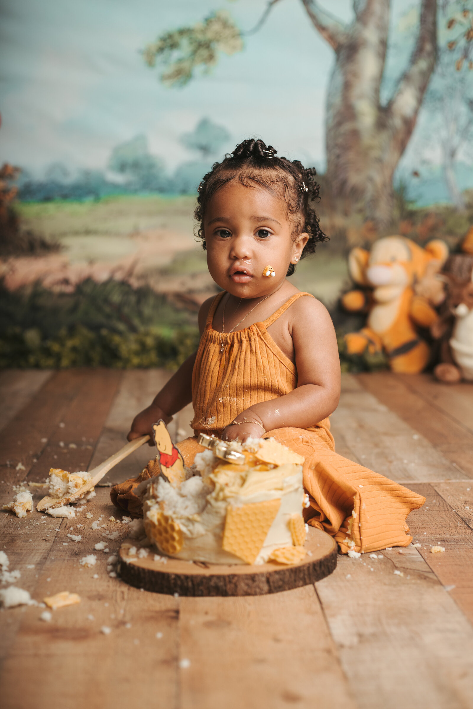 Martina Newport Photography - Michiah Risby - Emory's Winnie the Pooh cake smash-81