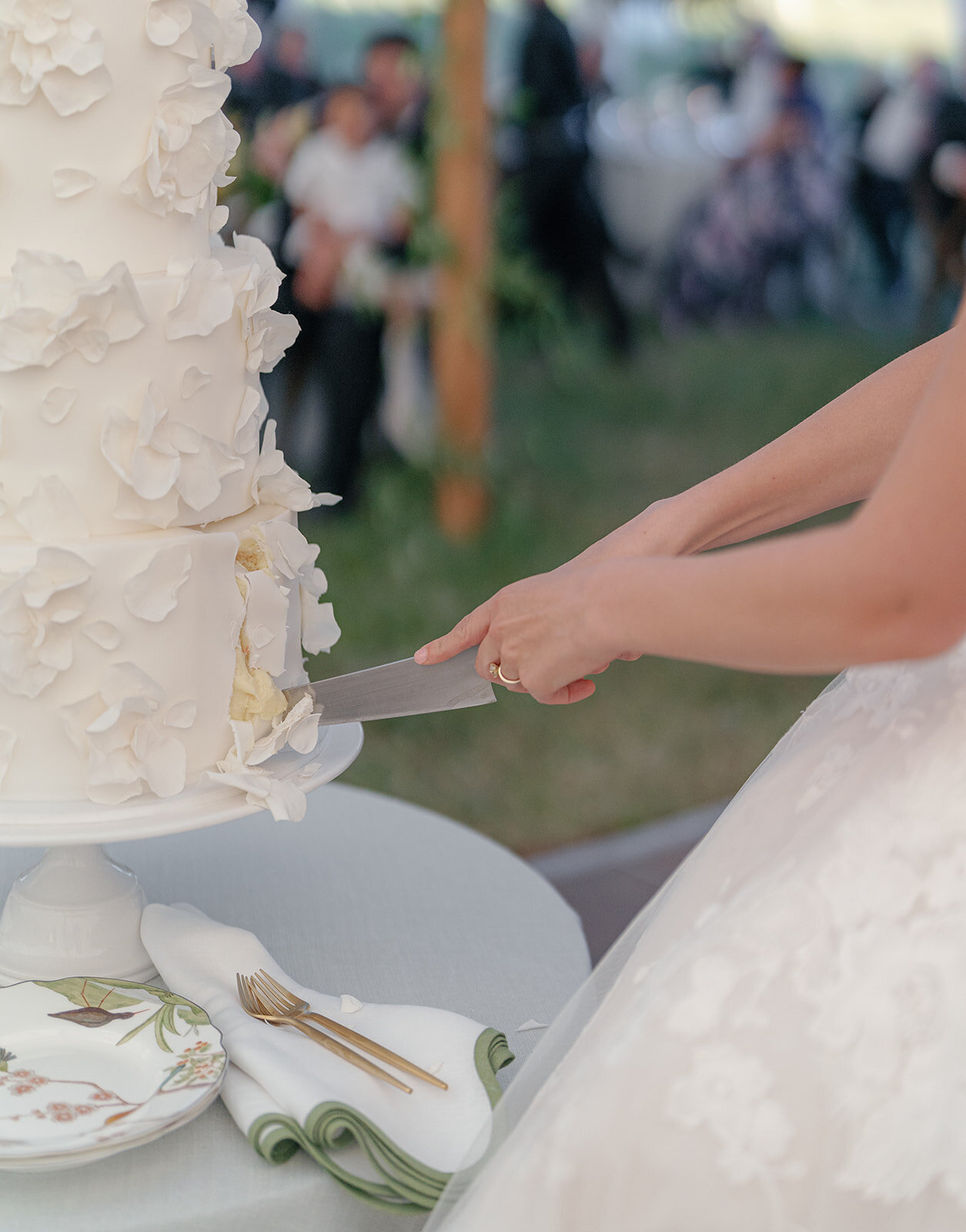 Telluride Wedding Photographer-Wedding--2173