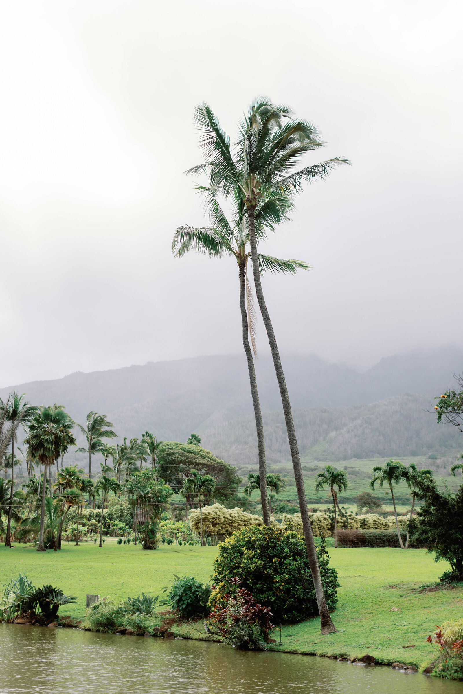 Maui-Wedding-Tropical-Plantation-Sarah-Block-Photography-354