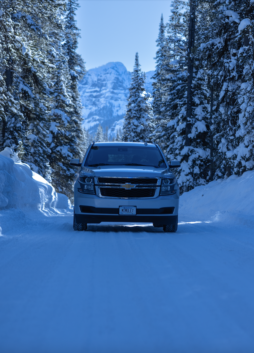 Mountain Mule Transporation - Private Car Service in Bozeman Montana 2