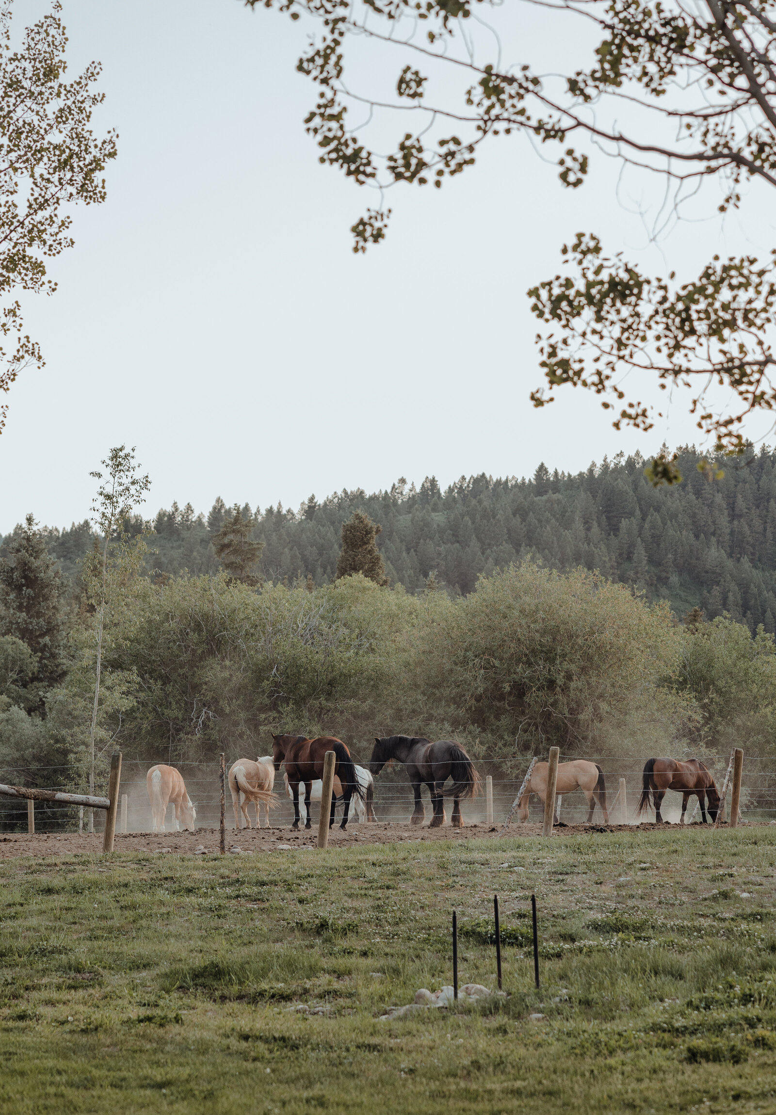 EmilyStewartPhoto-35