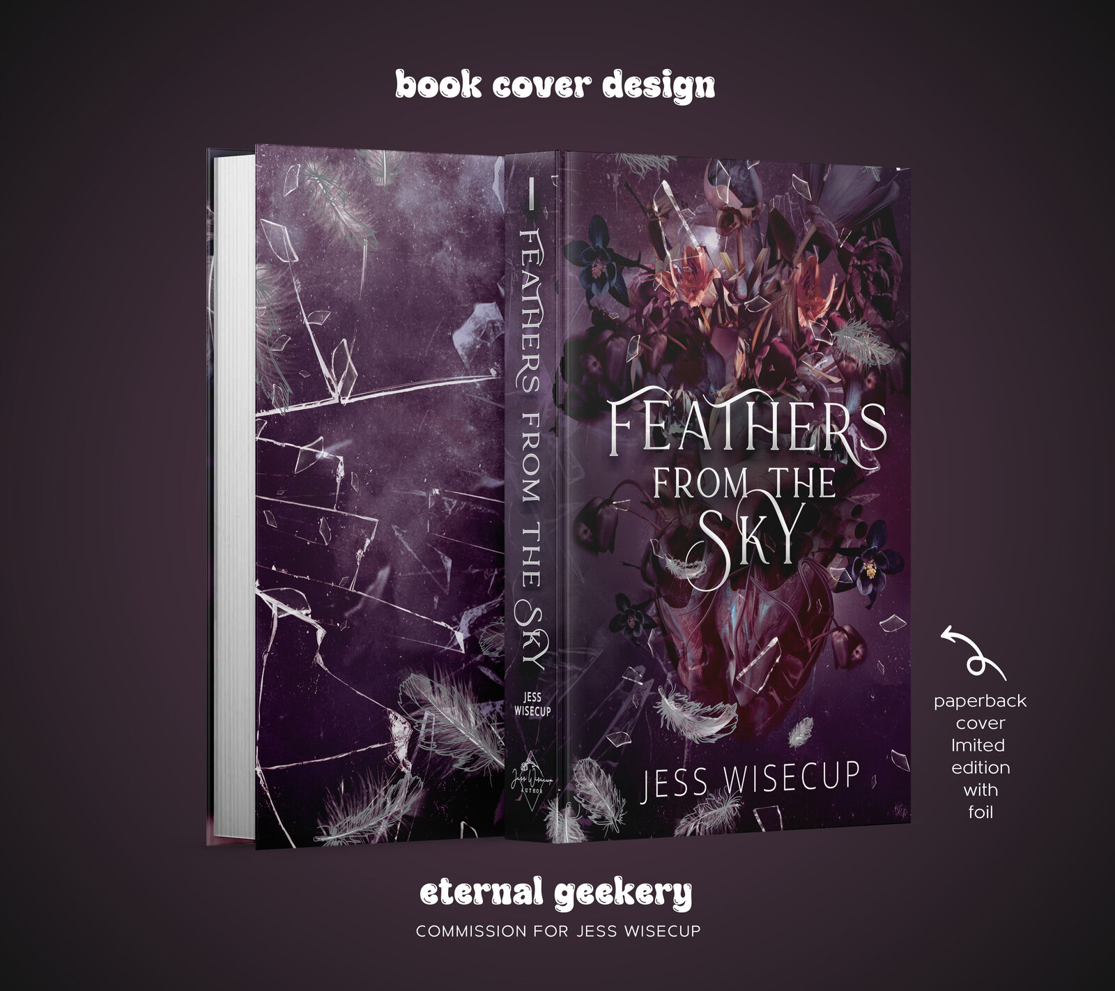 Feathers from the Sky special edition Paperback