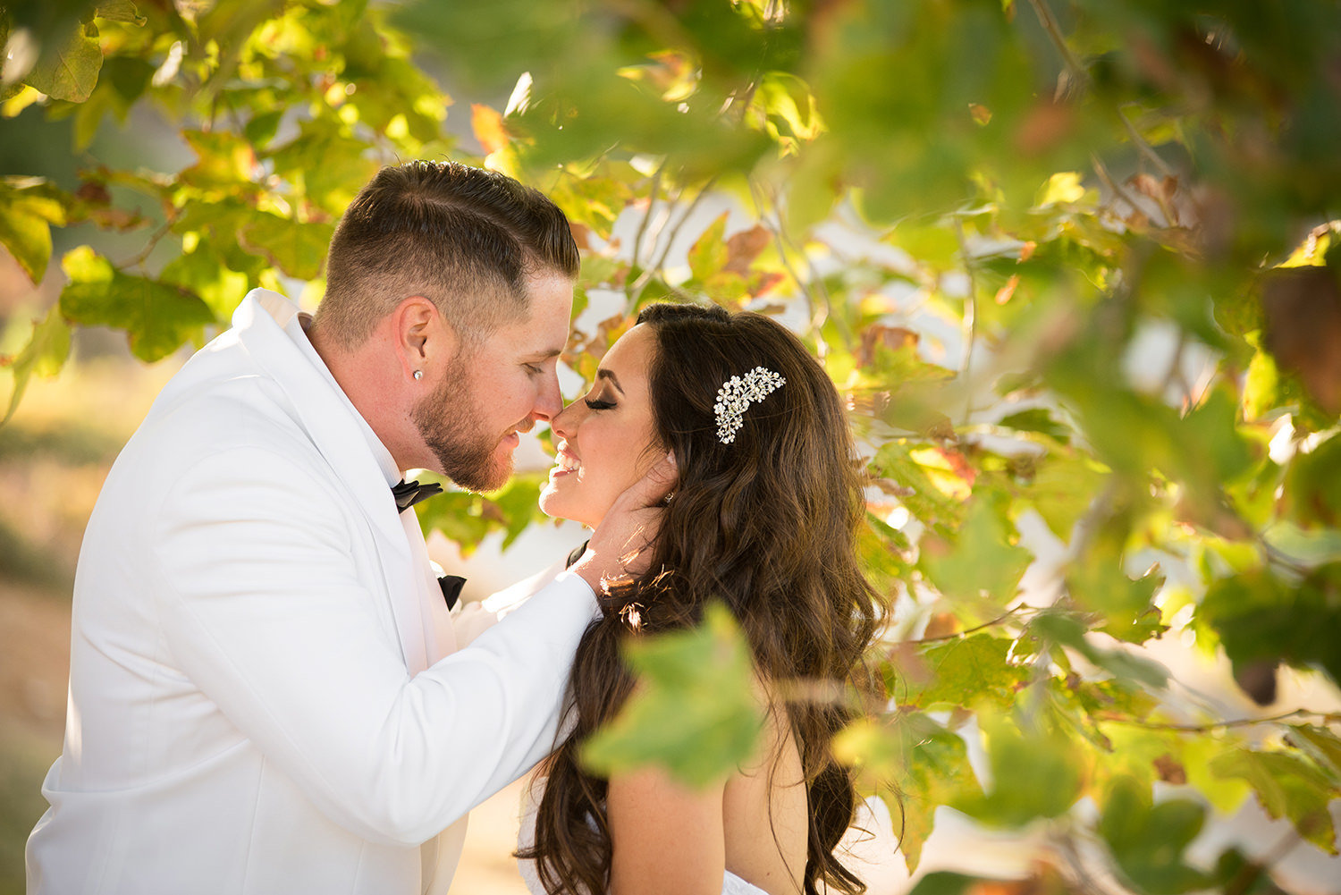 bride and groom kissing in trees