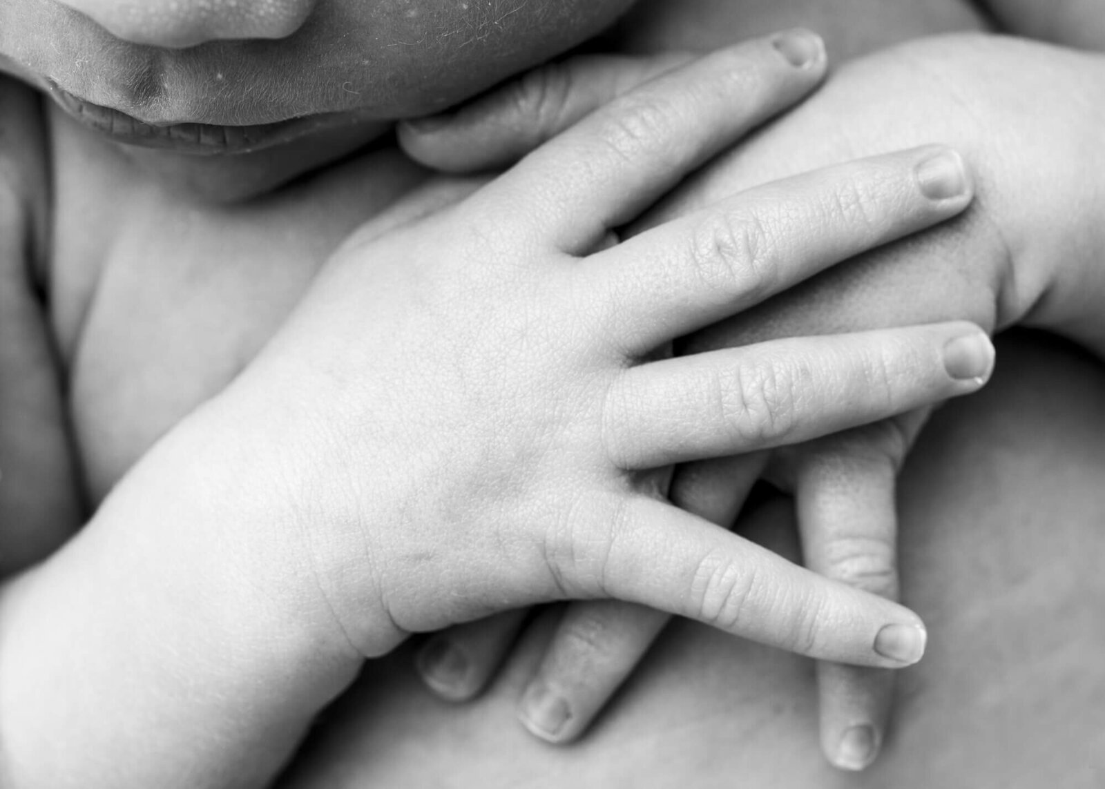 close-up picture of baby hands