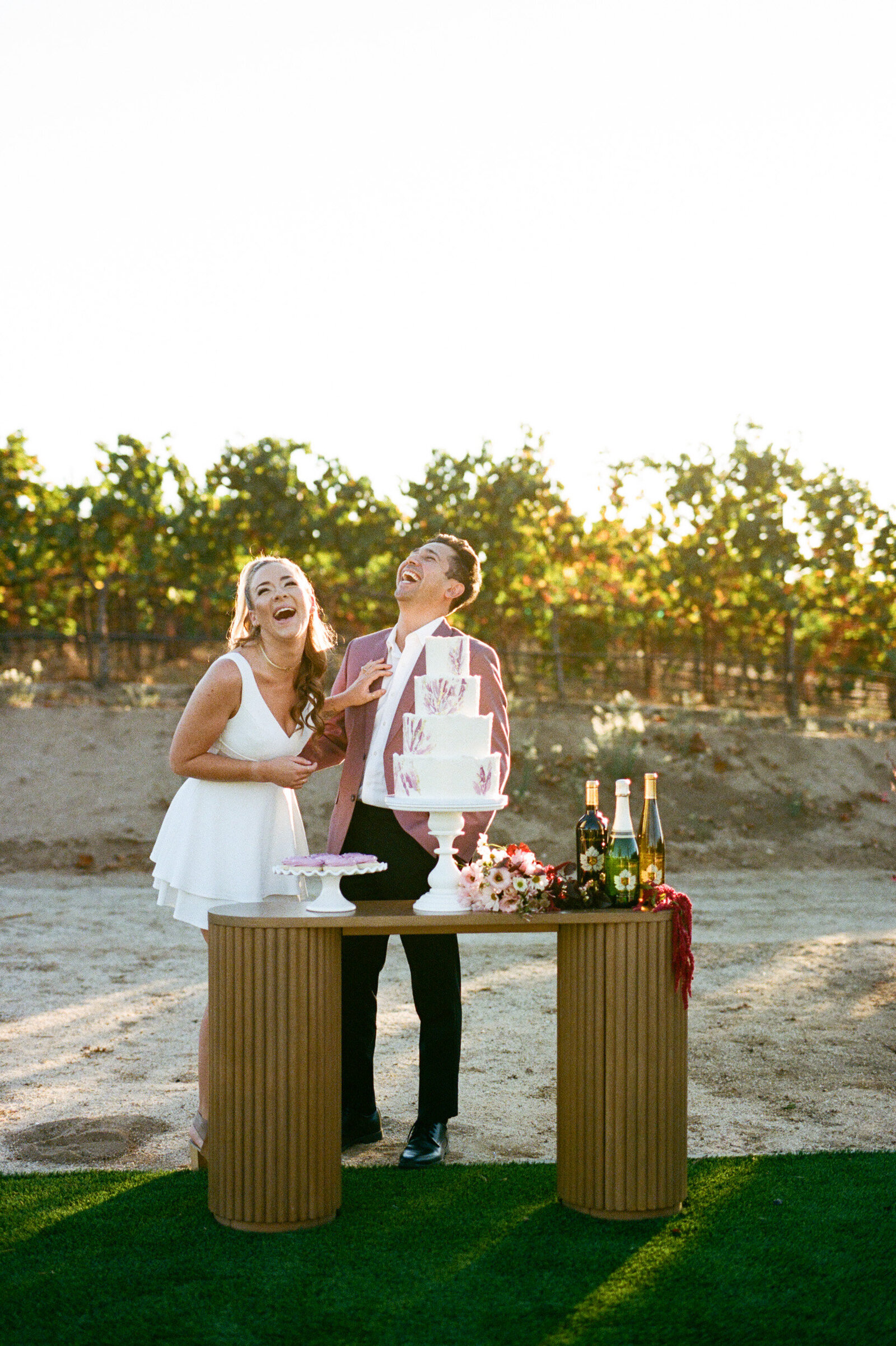 35mm Film Wedding Photography-032-766480010003