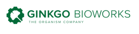 Ginkgo 11