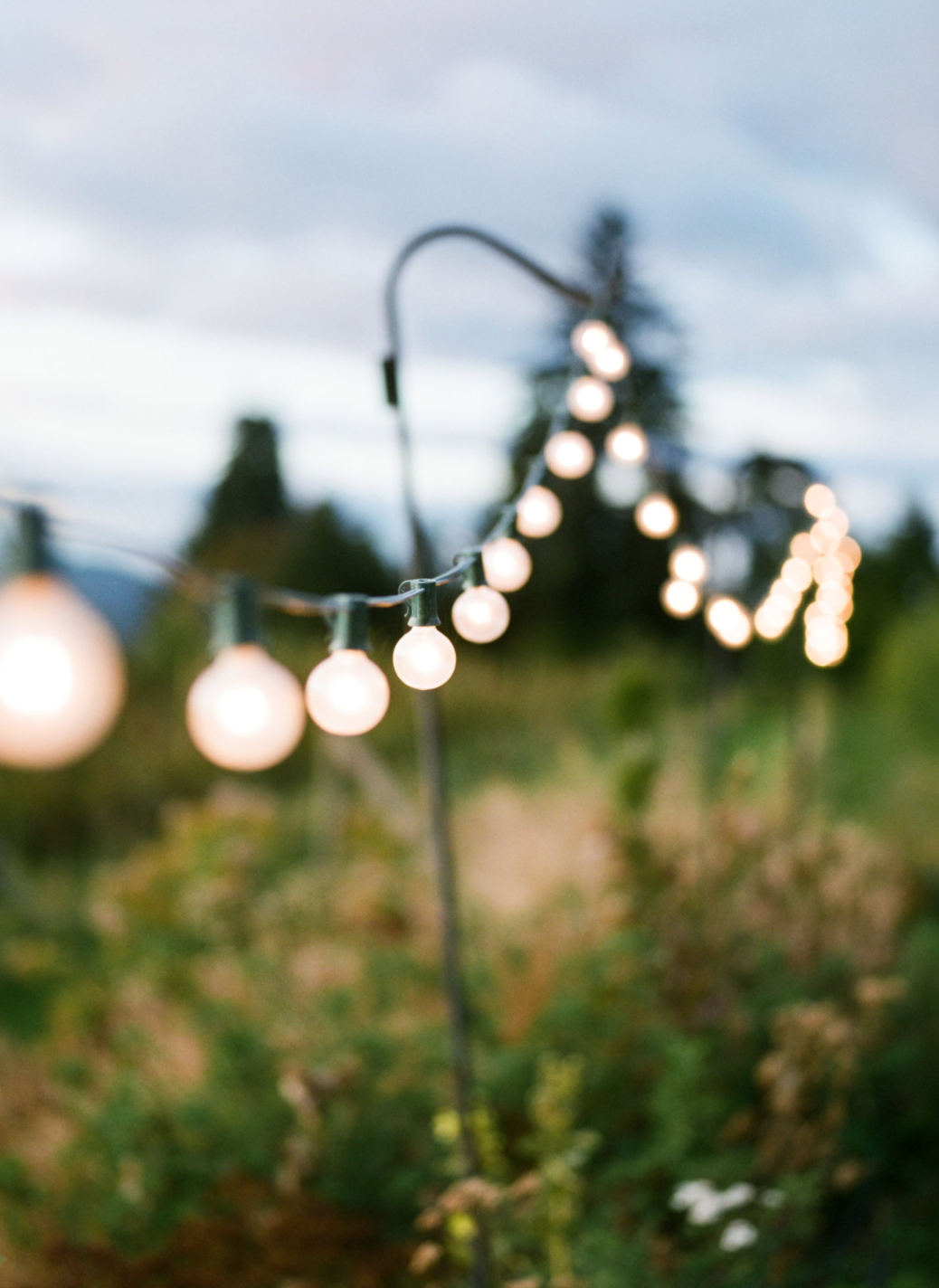 Screen Shot 2020-12-20 at 12.06.41 PM