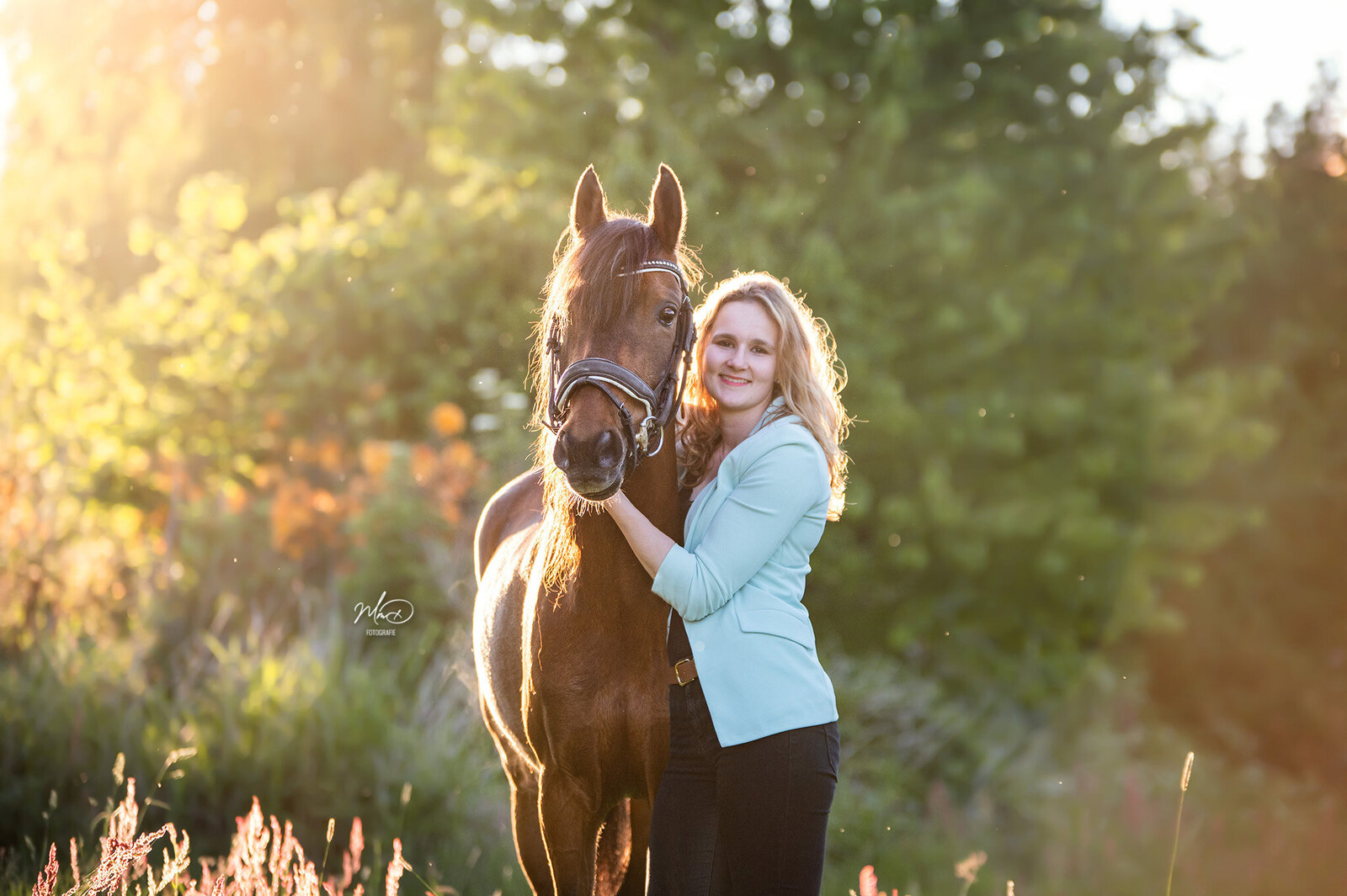 paardenfotografie friesland (1)