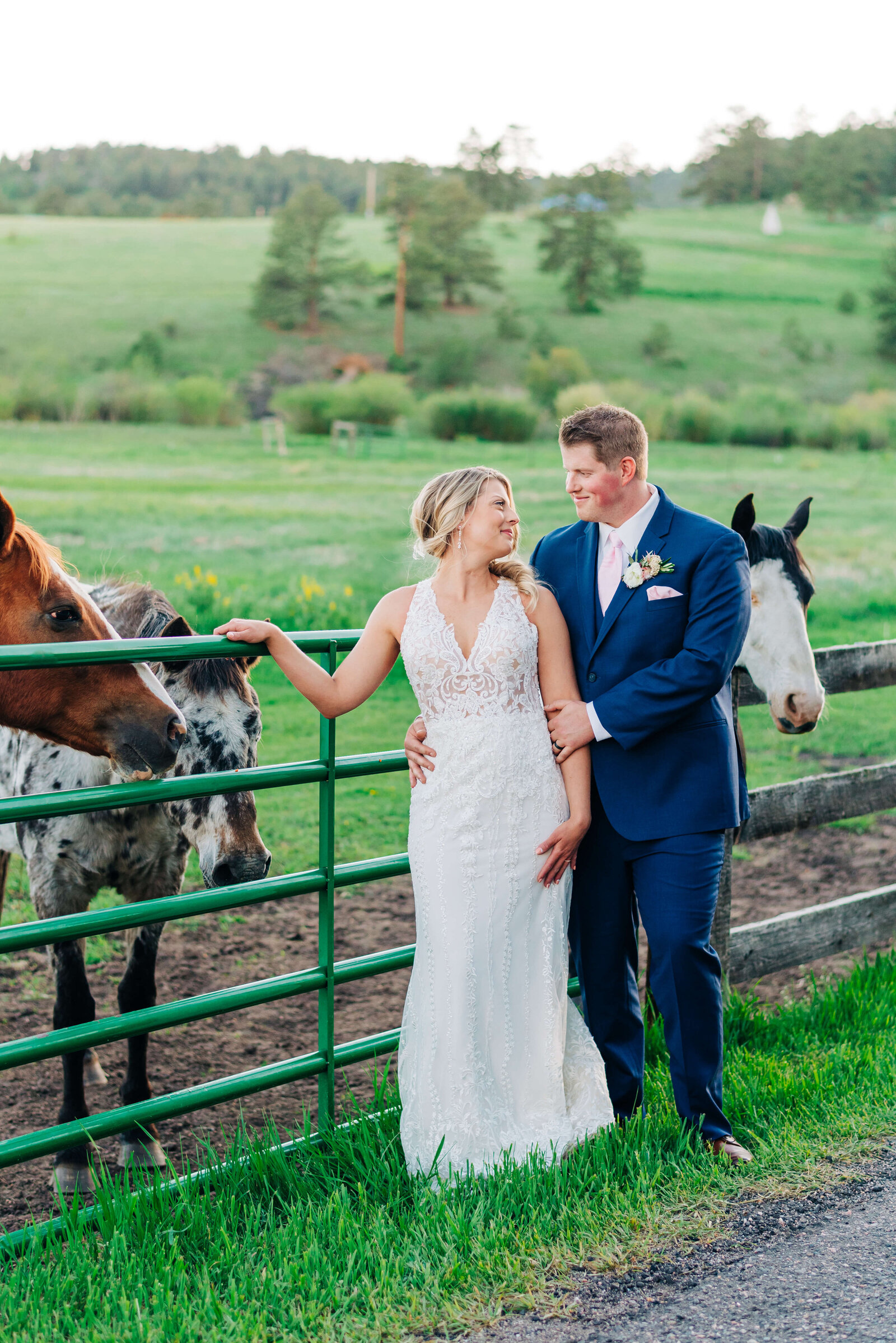 Virginia wedding photographer captures image of bride and groom standing together and admiring each other and the horses