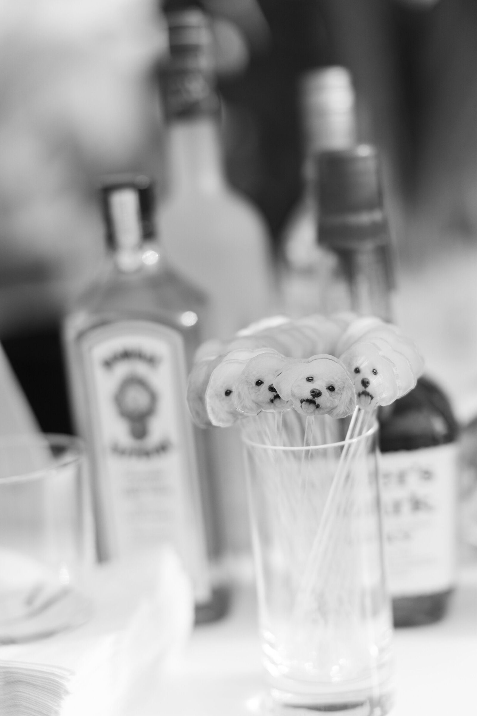 0288-IMG_9558-AshleyRaePhotography