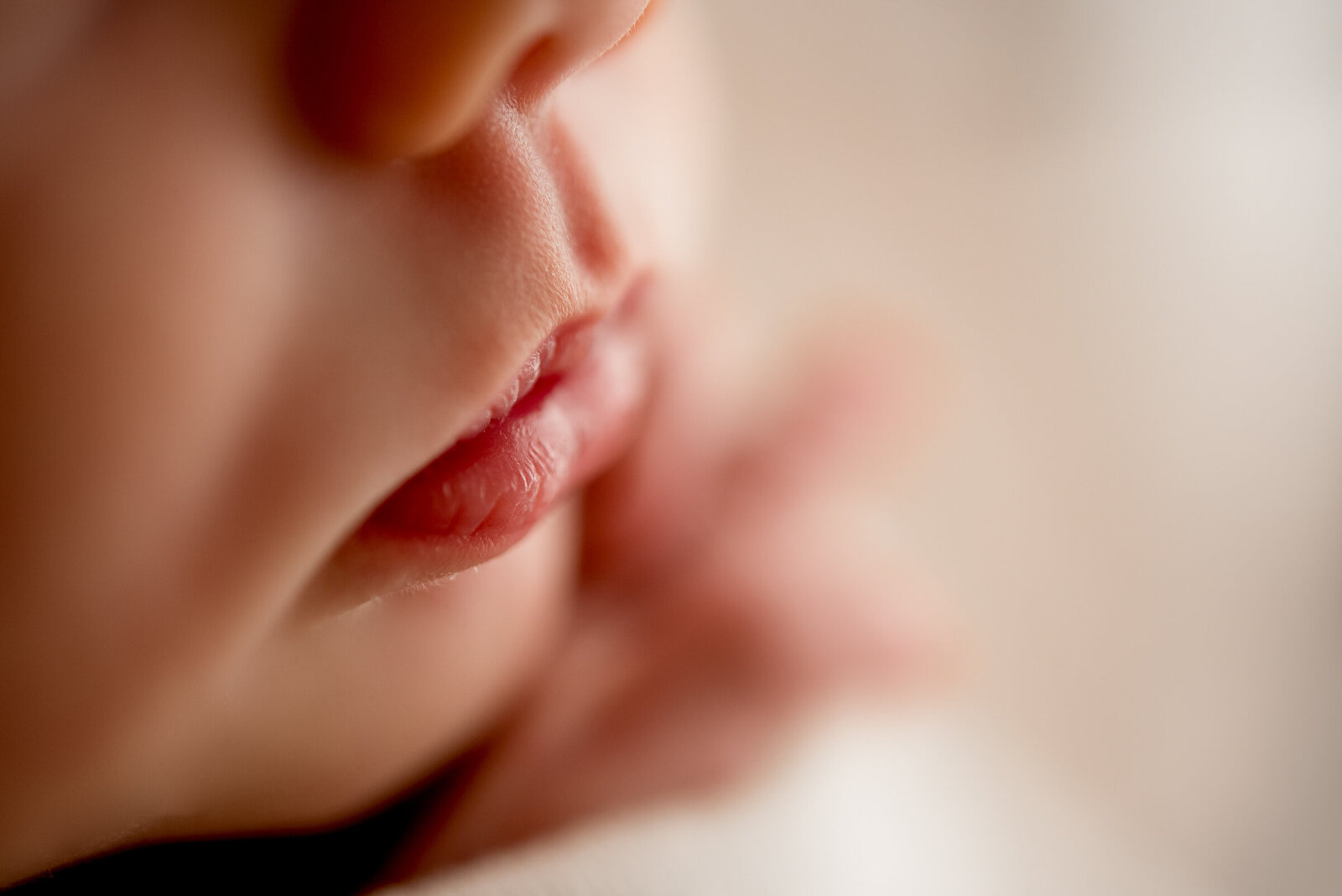 newborn web (138 of 146)