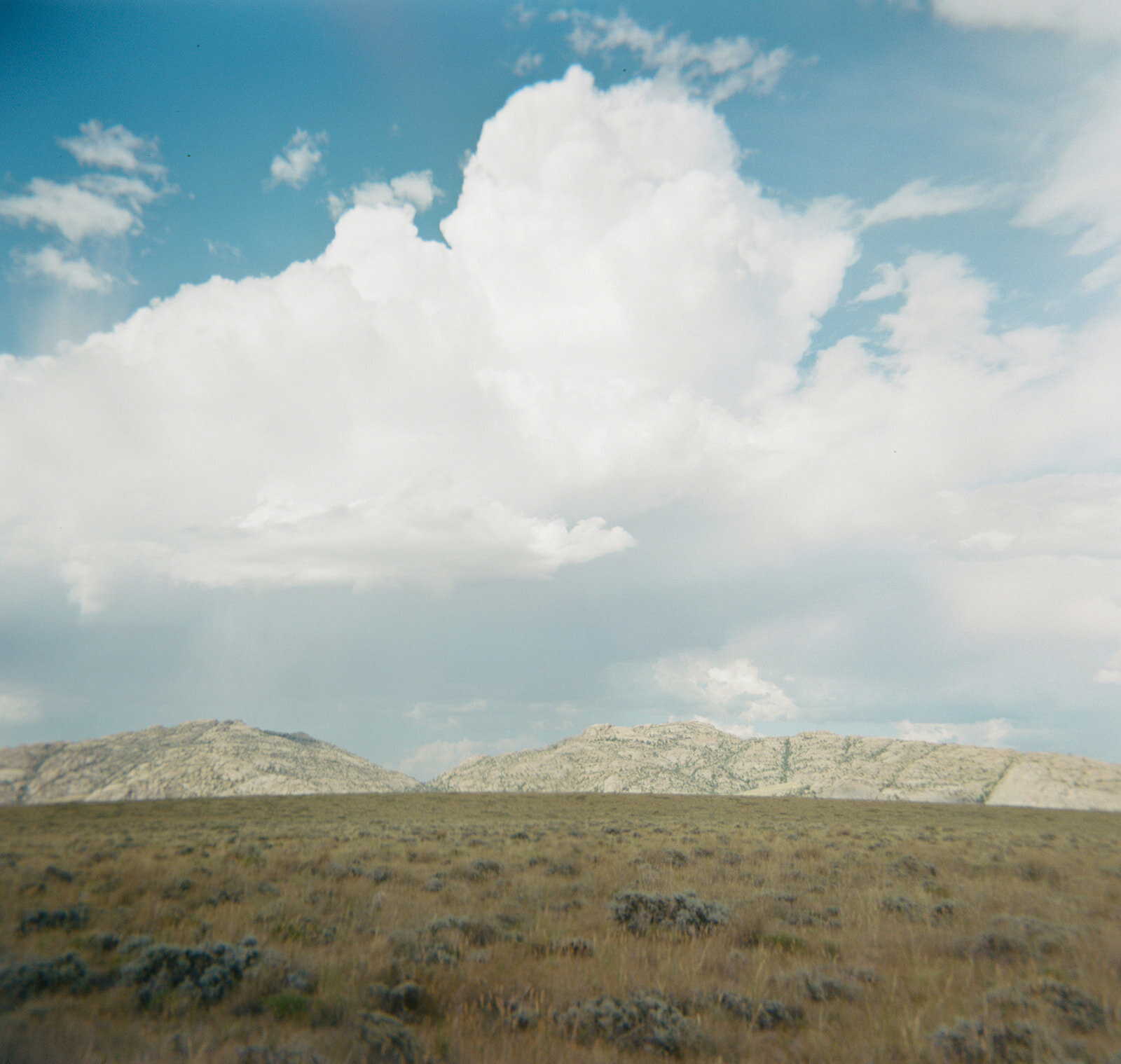 2022 Jenny Shipley SS Jackson Hole Holga-5