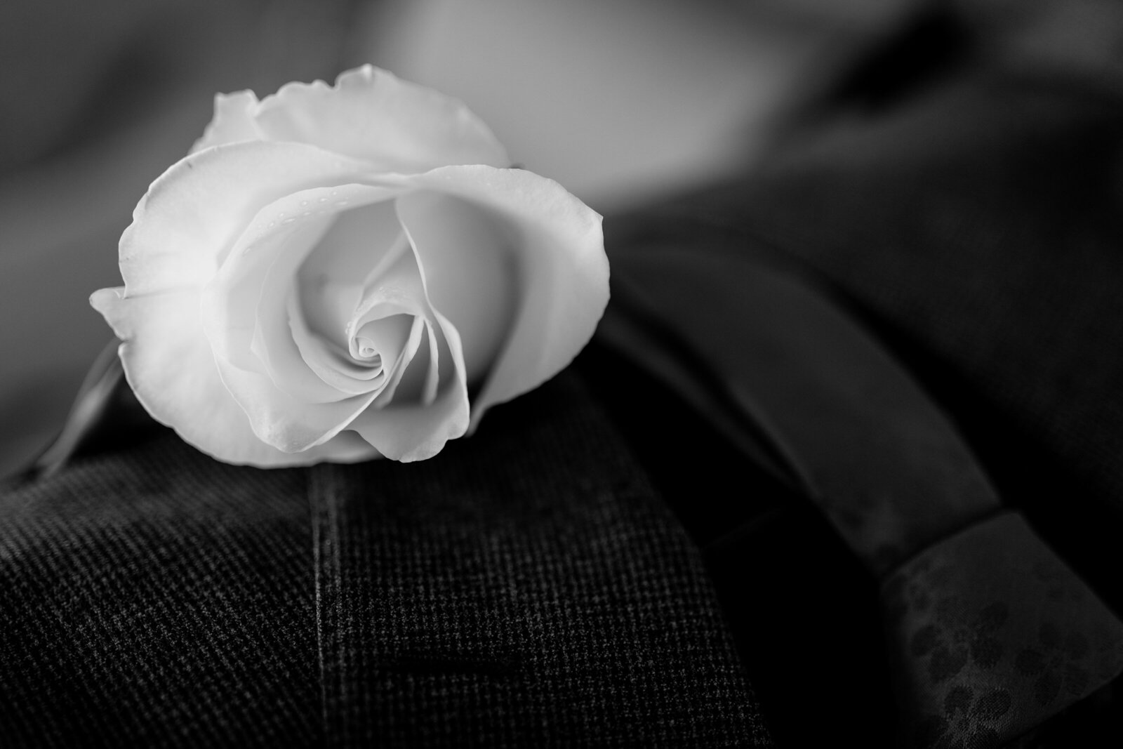250405-Shelby-Alastair-Rexvil-Photography-Adelaide-Wedding-Photographer-12