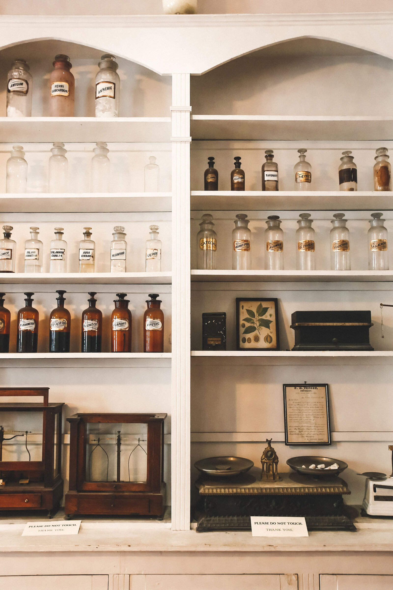 Vintage tinctures and bottles at old medicine pharmacy New Orleans haunted travel photography by Chelsea Loren