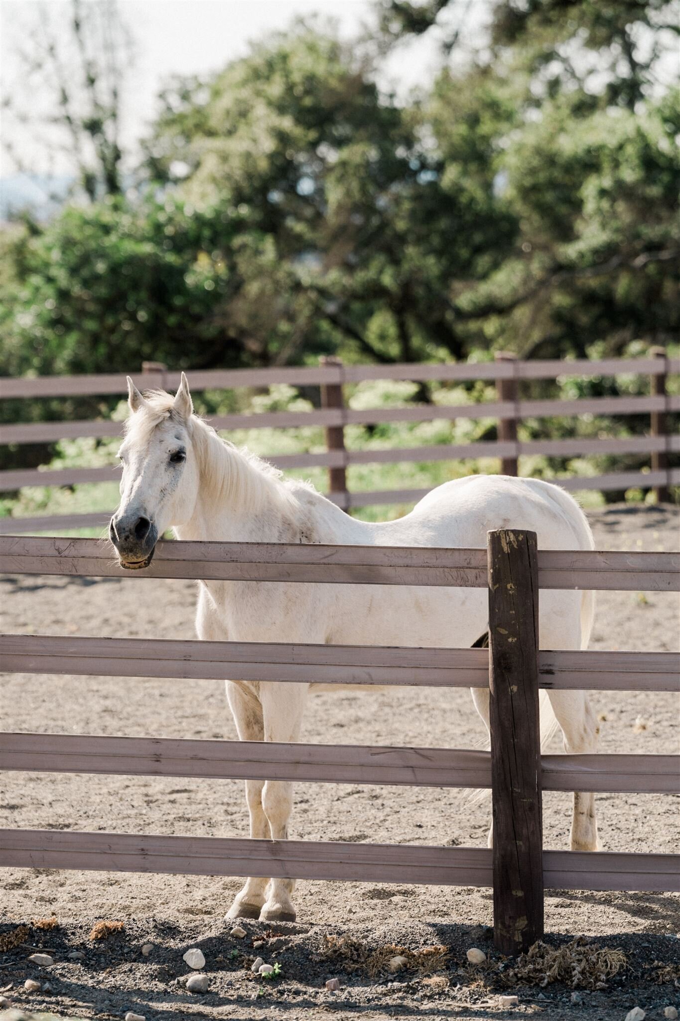 Private Ranch Vineyard Wedding-Valorie Darling Photography-866_websize