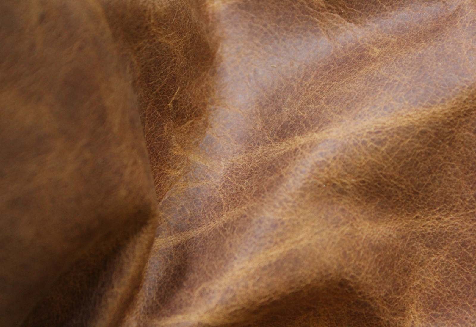 Coyote Tan Leather