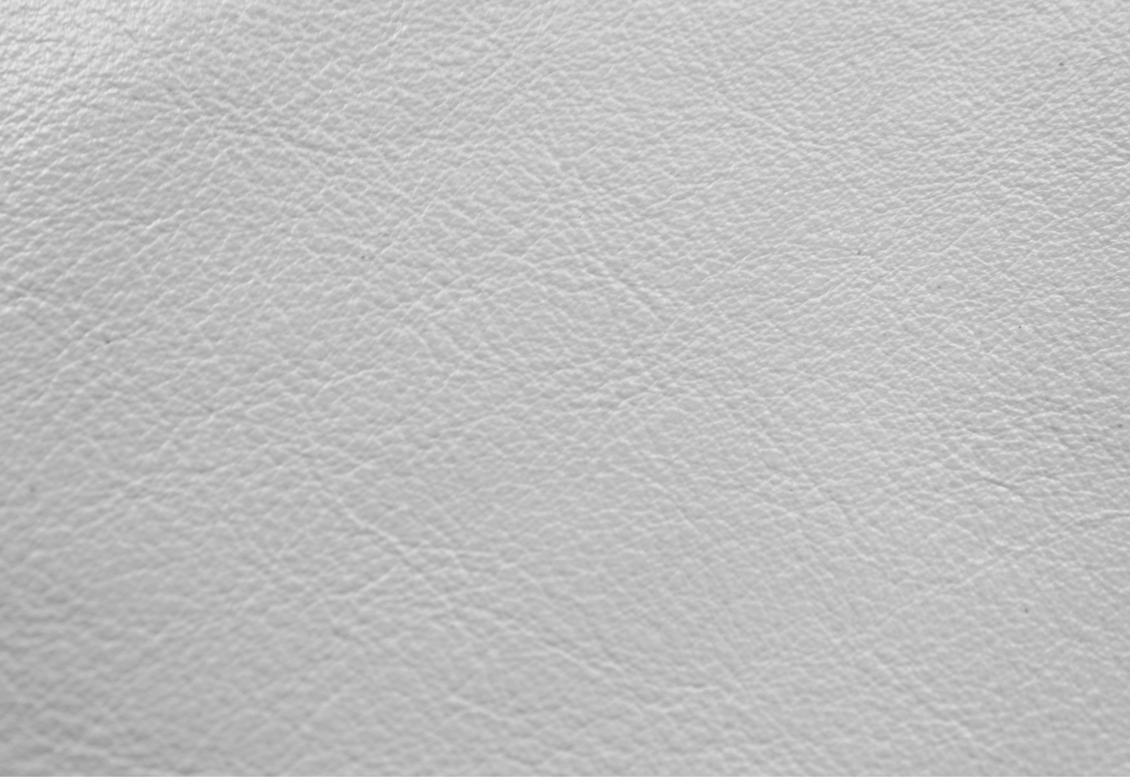 Amadeus  Curry White Leather