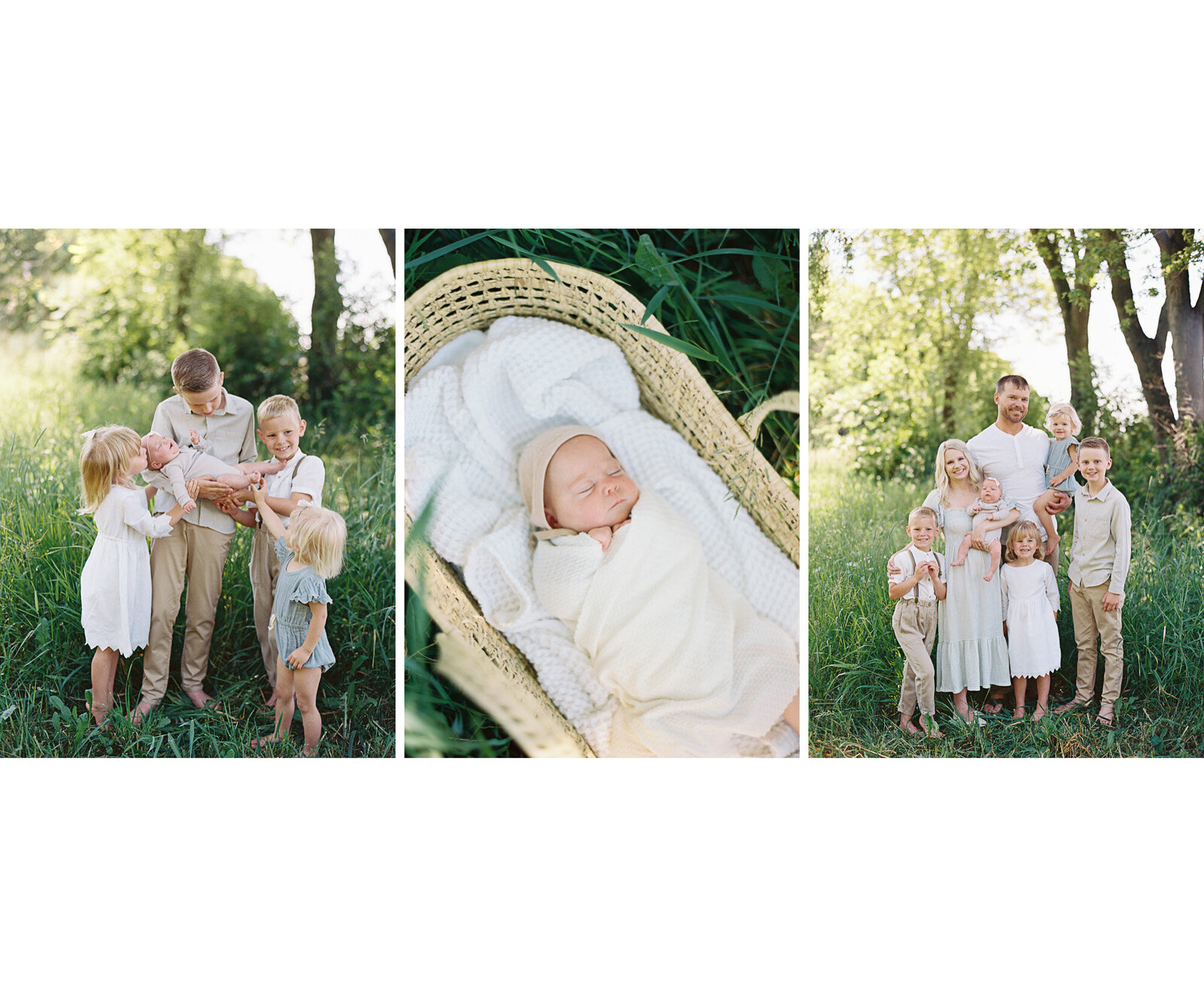 family of 7 in tall grass holding newborn baby and baby in moses basket with Milwaukee newborn photographer, Talia Laird Photography