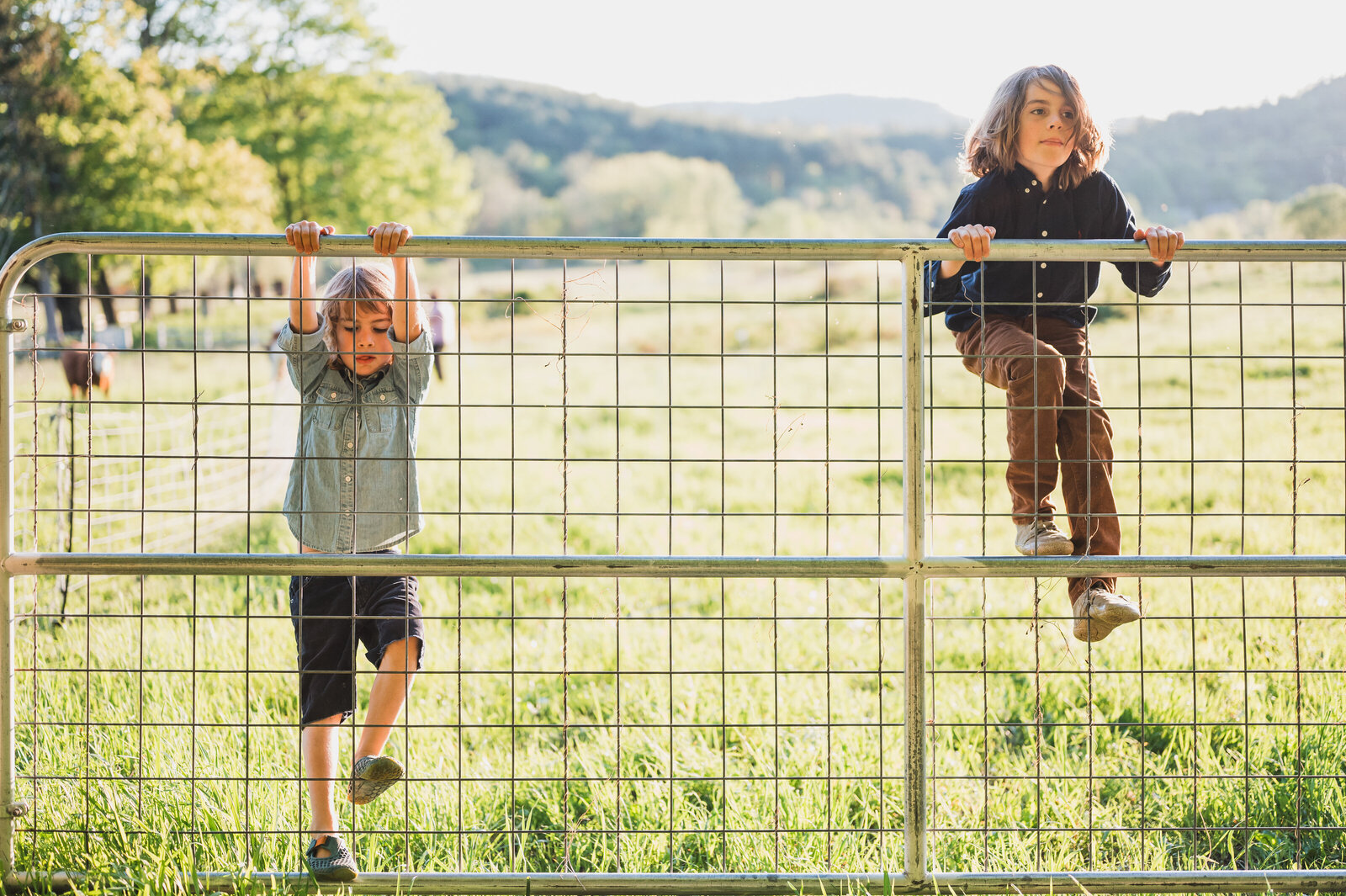 A black and white photo great barrington captured in a documentary-style family photography session.