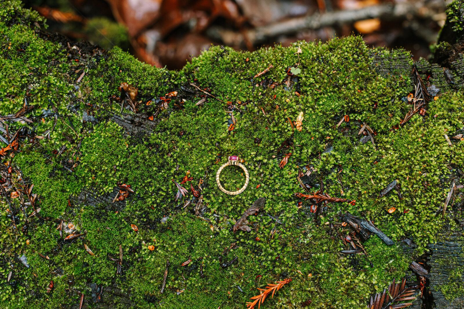 Big Sur Proposal Manjanatha-50