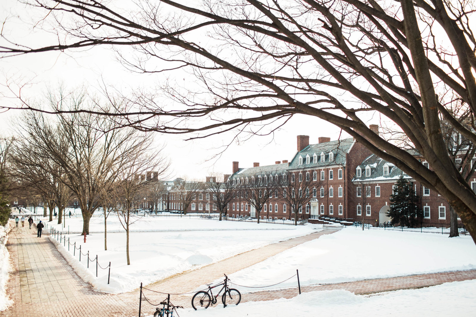 college-campus-winter-newark-de-kate-timbers-photography-1519