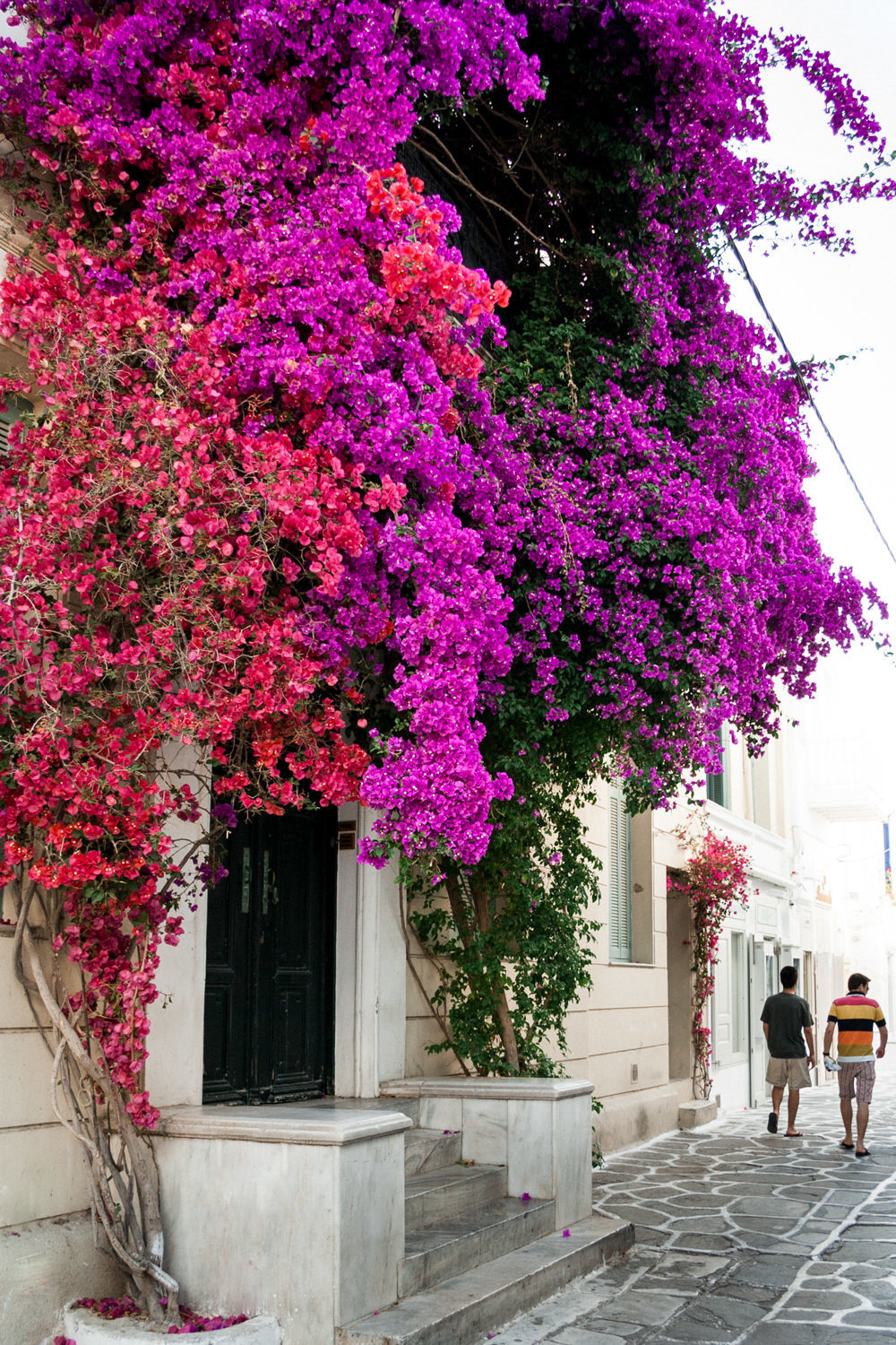 mykonos-greece-bougainvillea-europe-travel-danielle-motif-photography-1