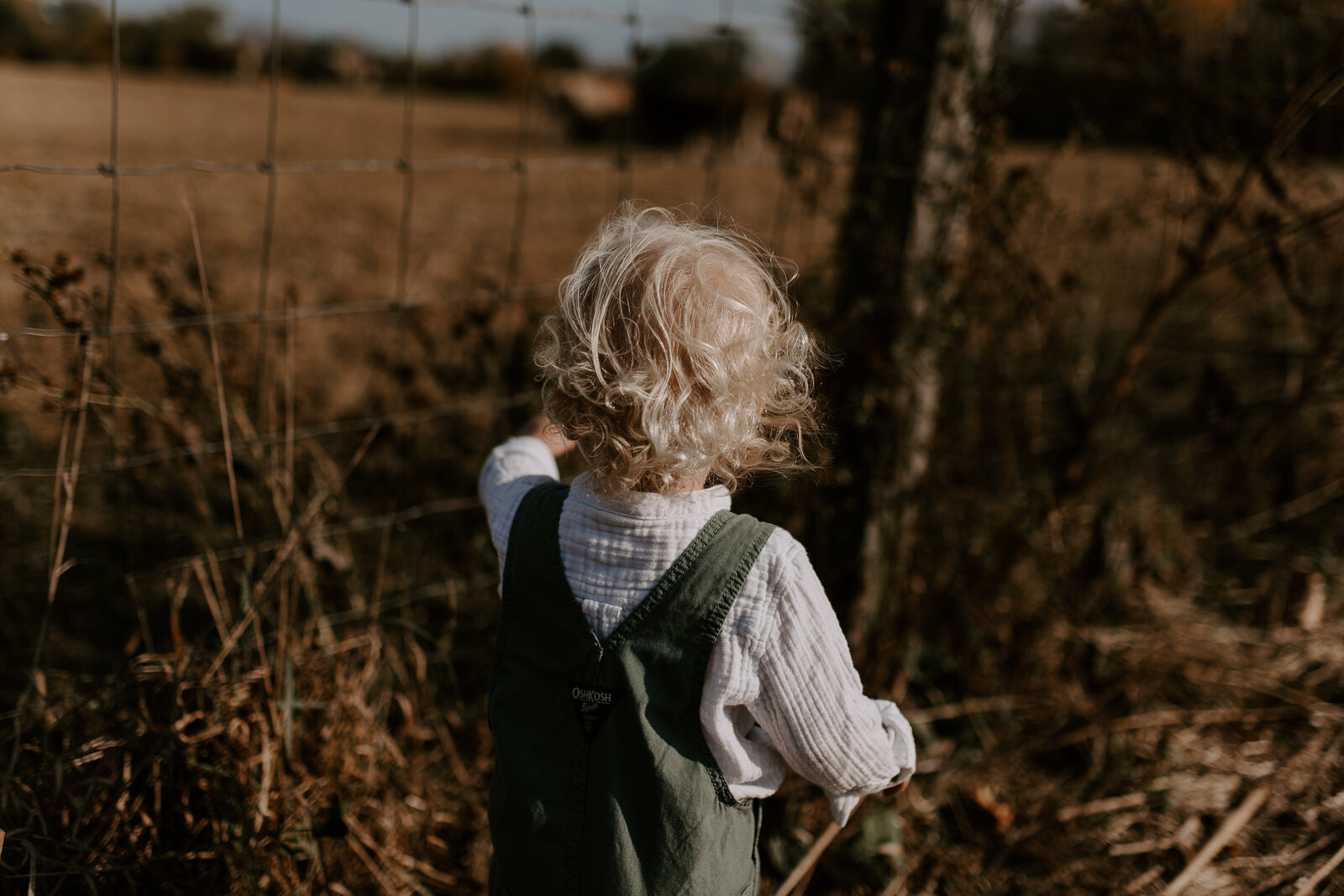 Traders Point Creamery Fall Family Session - Russell-2