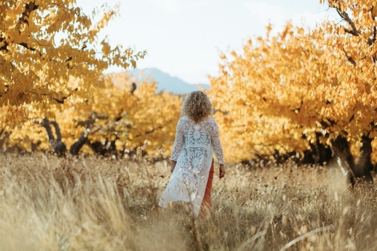Spiritual business coach