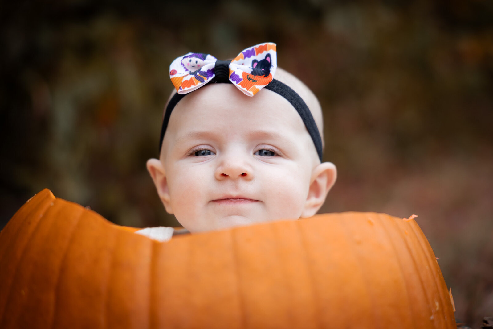 best fall baby portrait photographer in kansas city