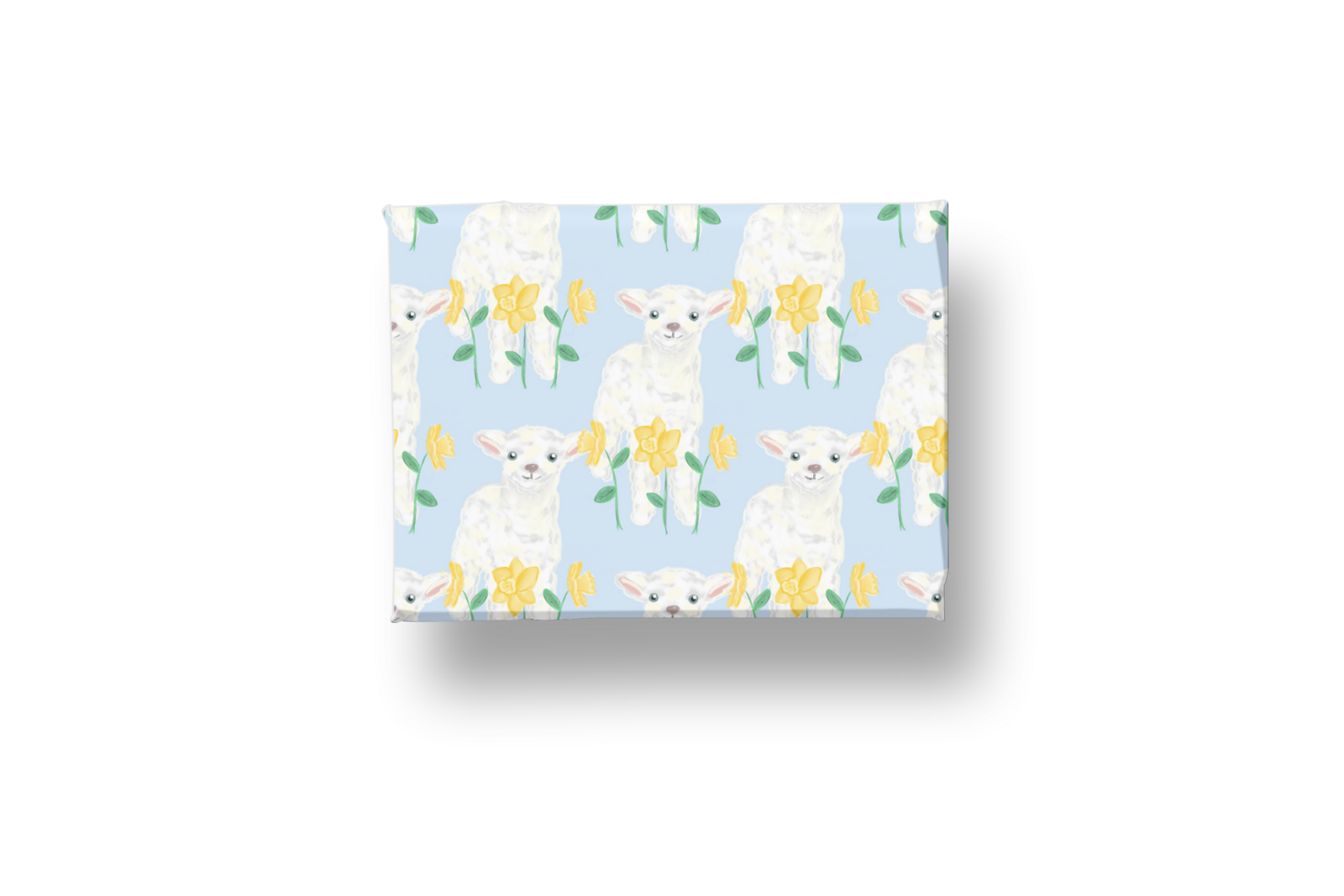 Mockup 05 _ Wrapped box
