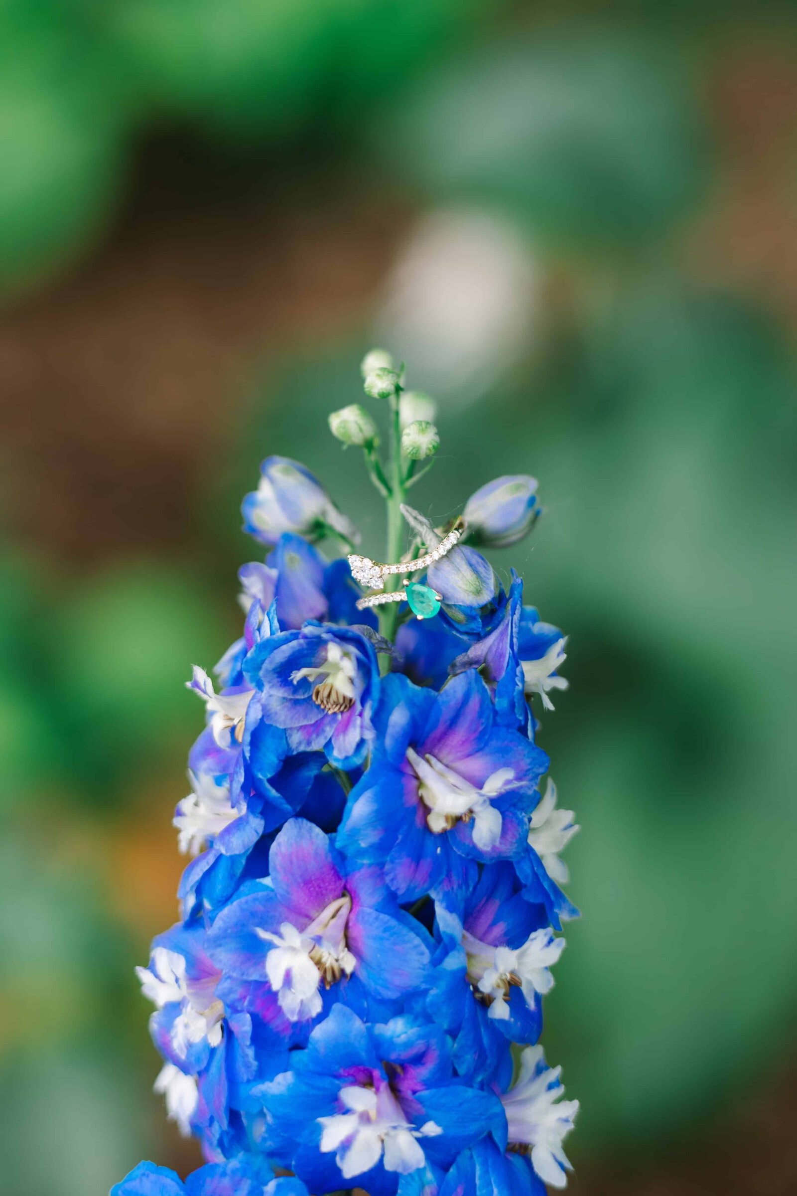 Como-Park-St-Paul-Minnesota-Engagement-Photo-Willow-And-Rove-117