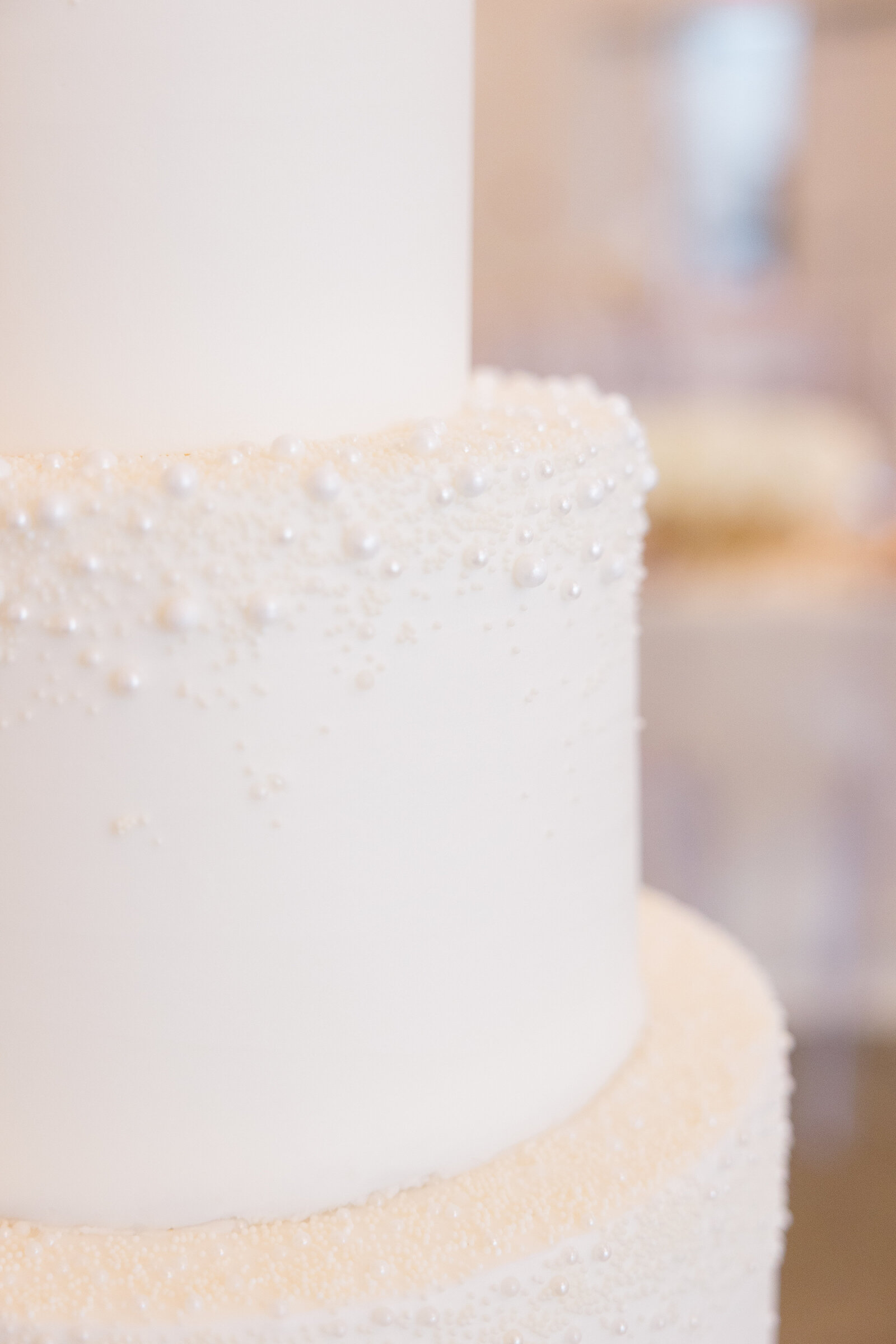 The-Acker's-Wedding-Photos-293