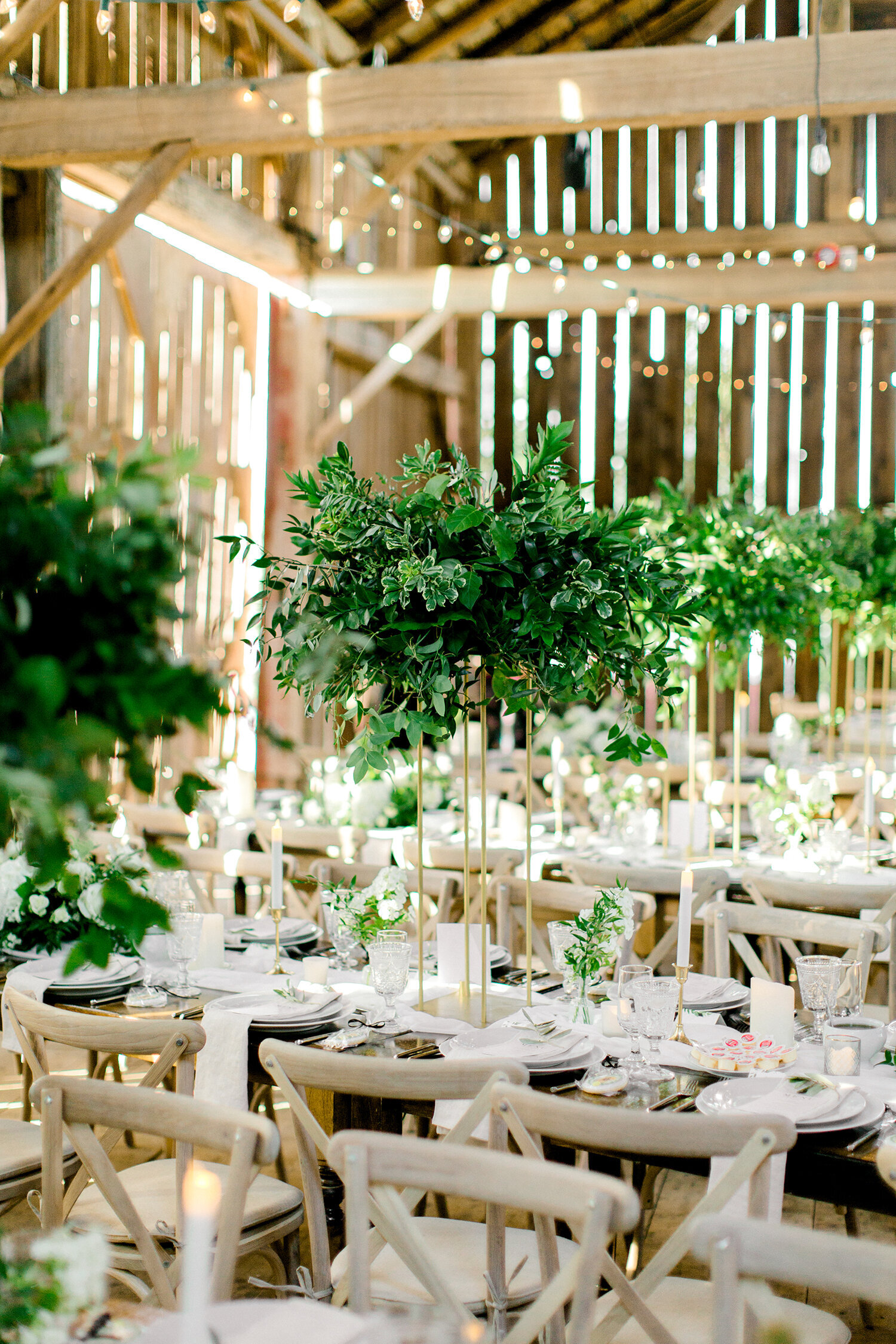 Cambium Farms Forever Wildfield Wedluxe Richelle Hunter 9