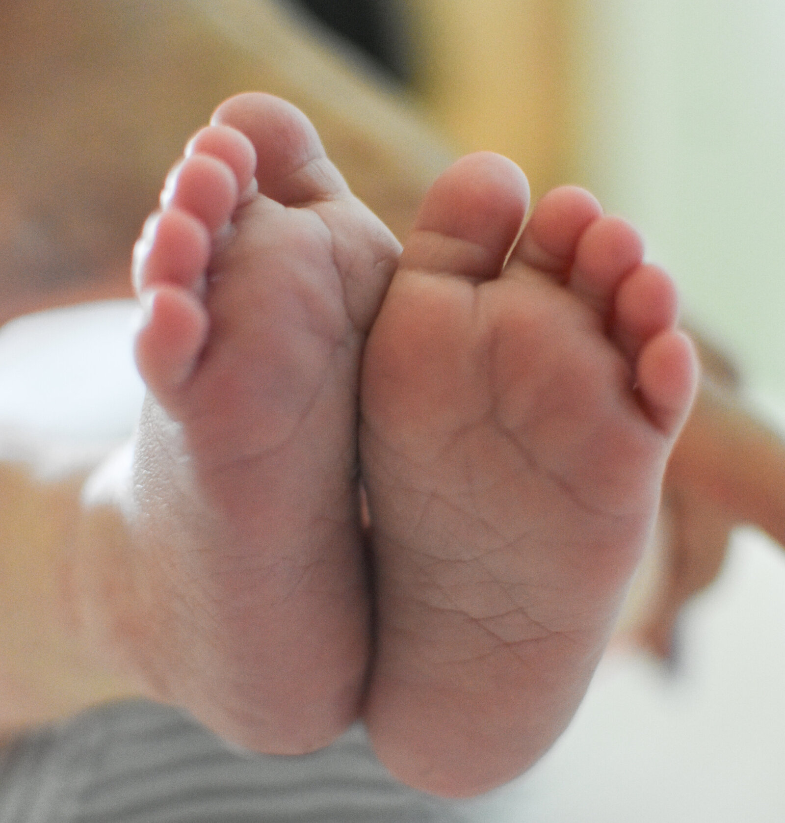tiny baby feet photographed by Millz Photography in Greenville, SC