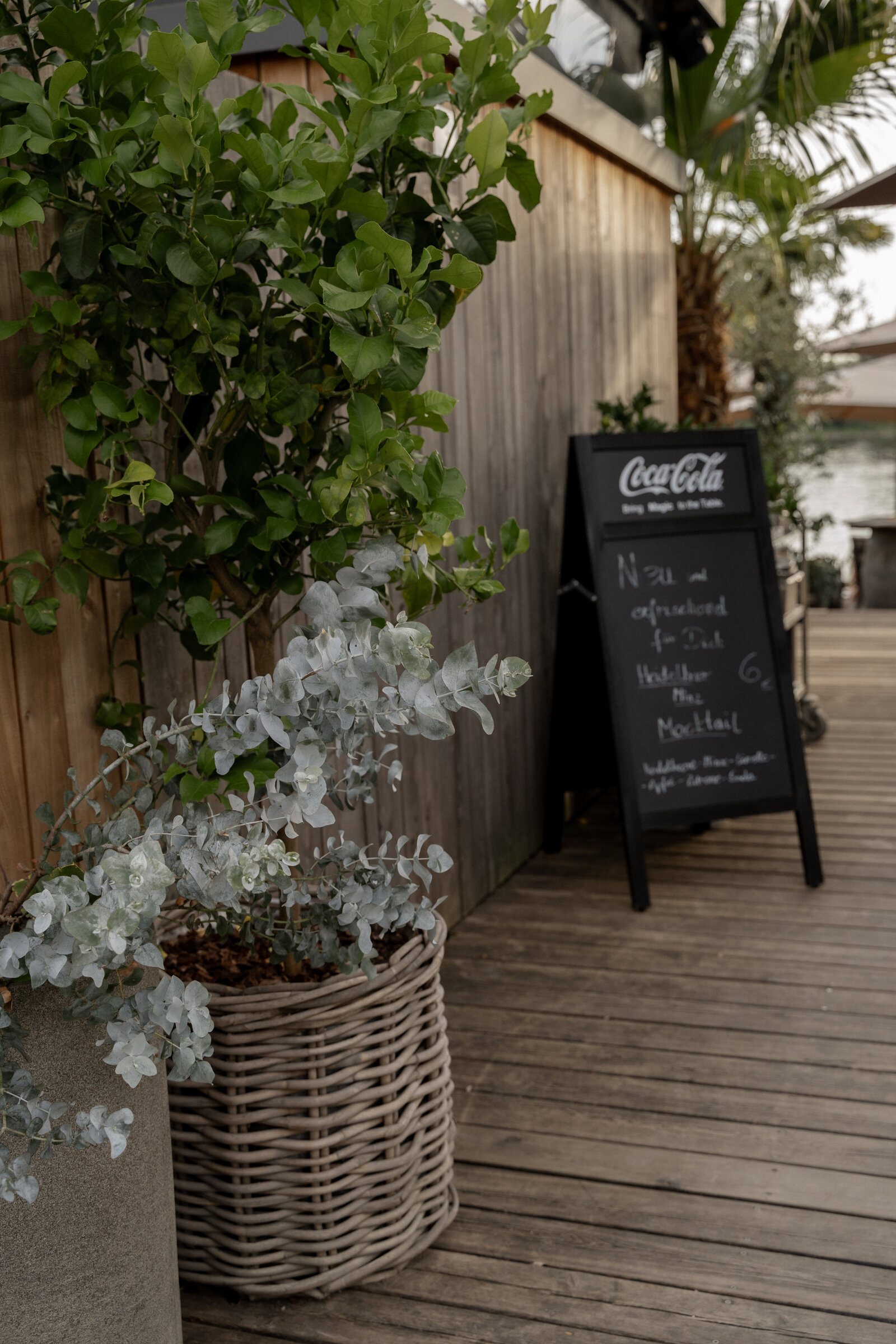Strandbar-NEU-24