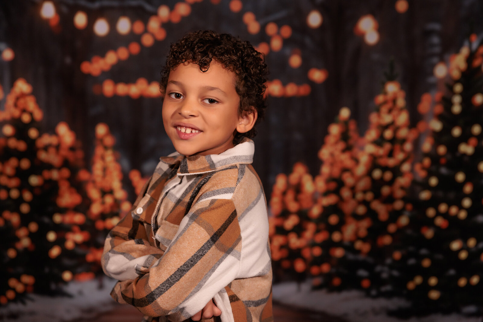 Downtown Raleigh Christmas Minis - indoor